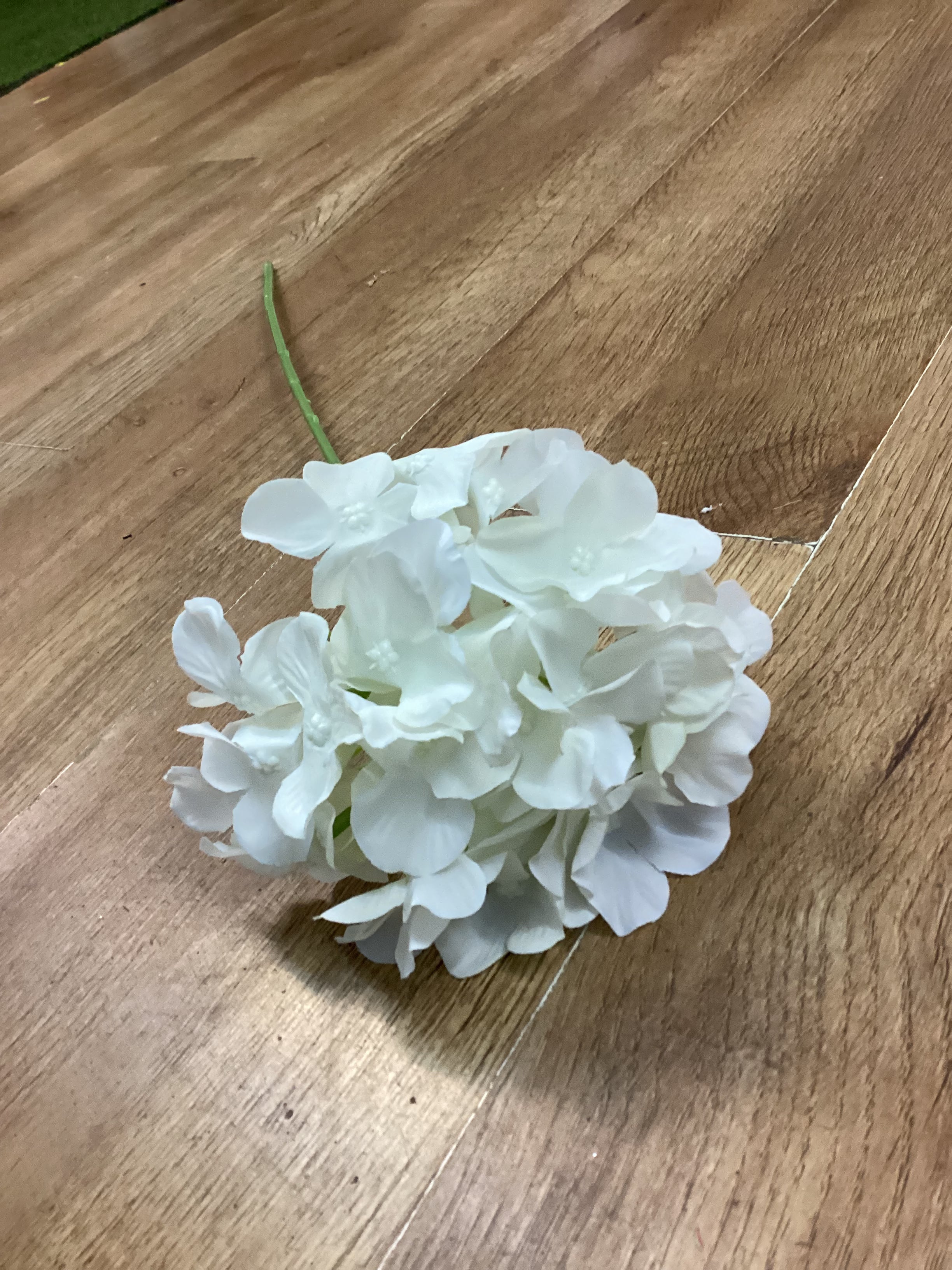 Long stem ivory hydrangea