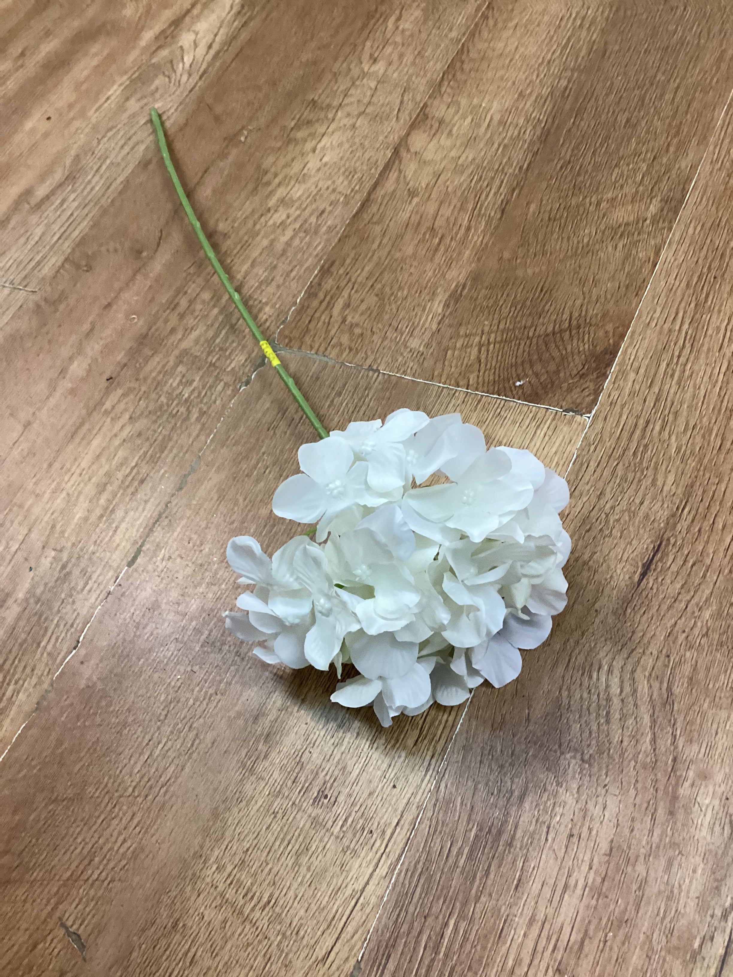 Long stem ivory hydrangea