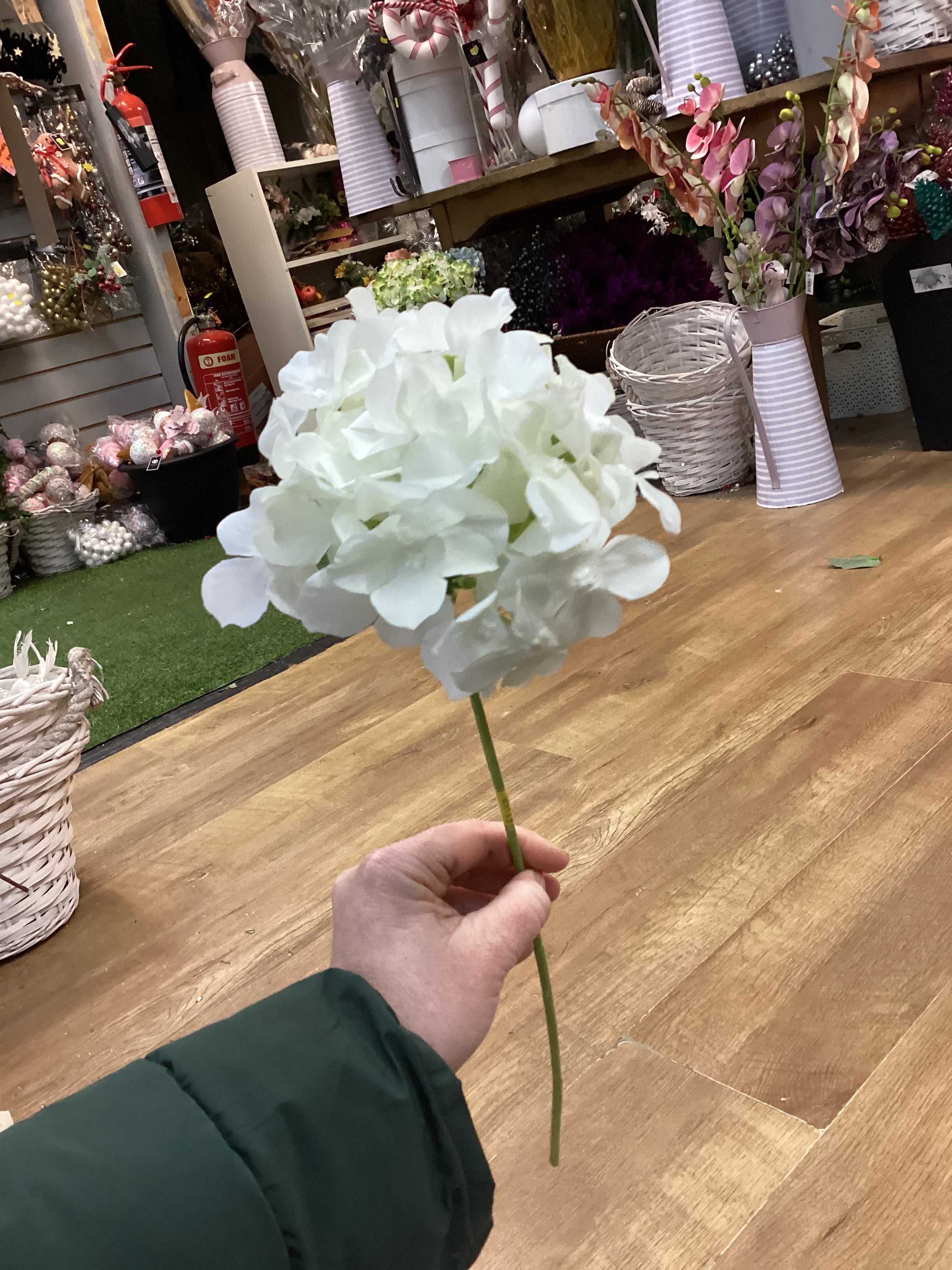 Long stem ivory hydrangea