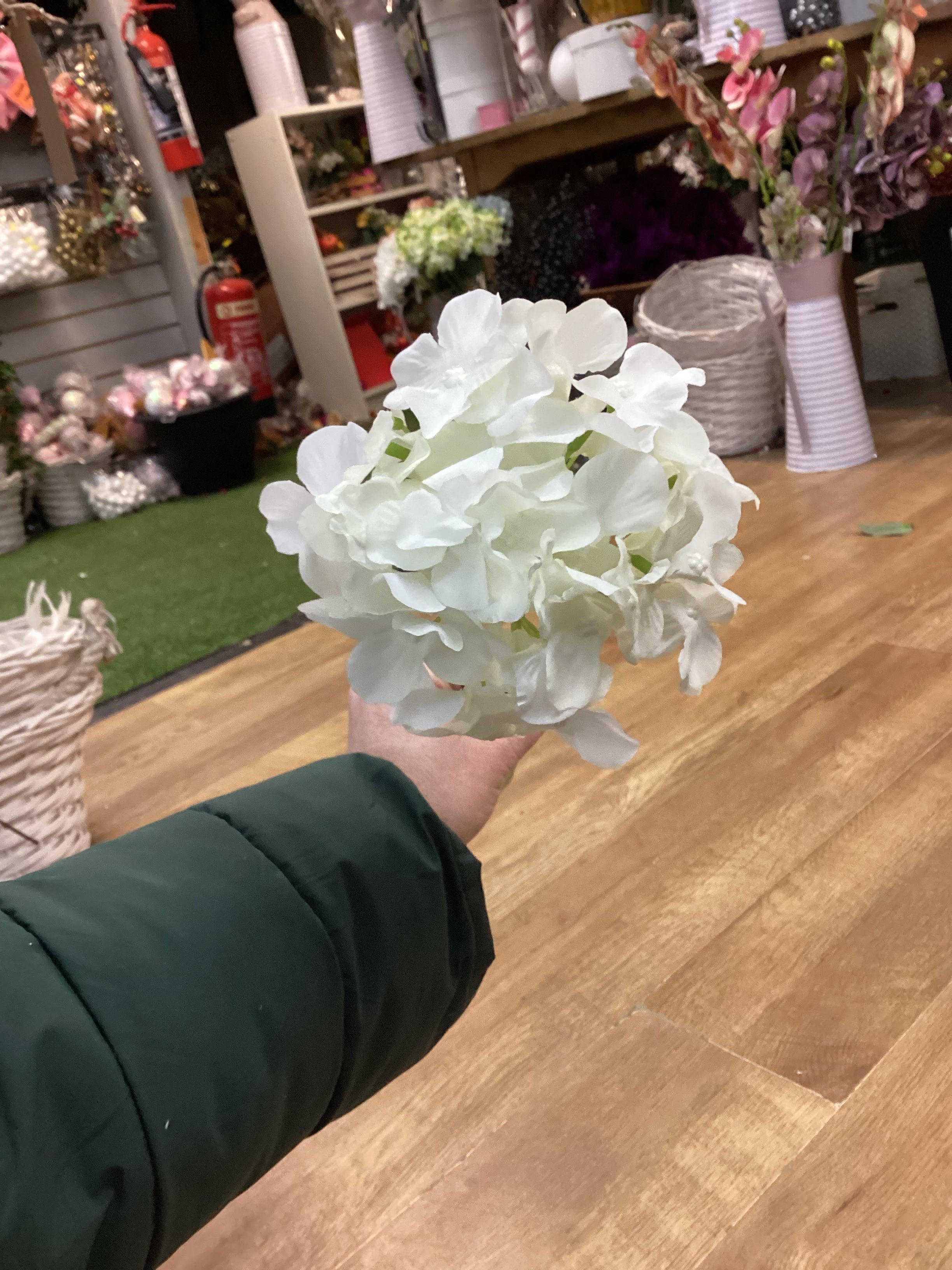 Long stem ivory hydrangea