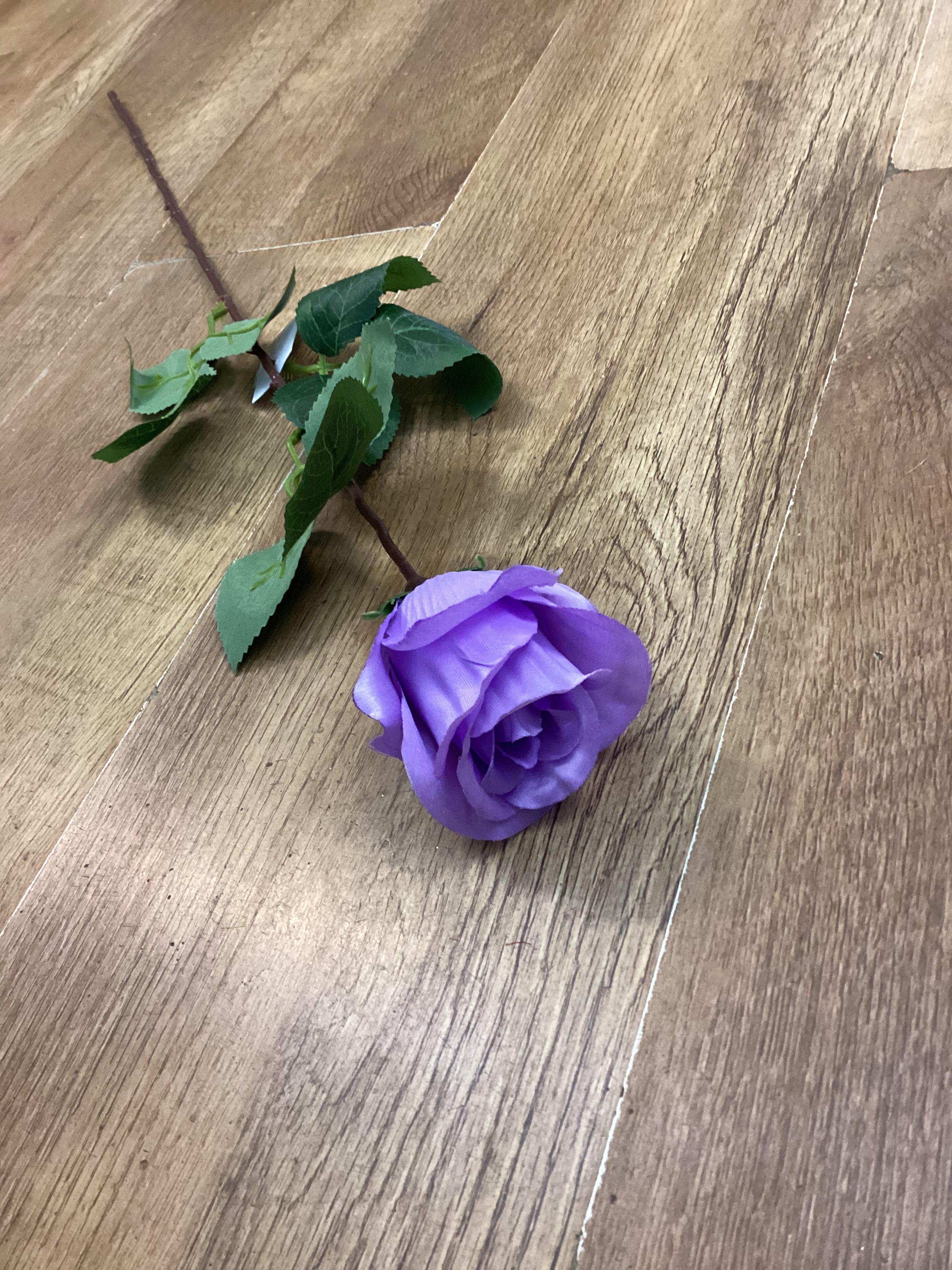 Long stem single rose - 6 colours available