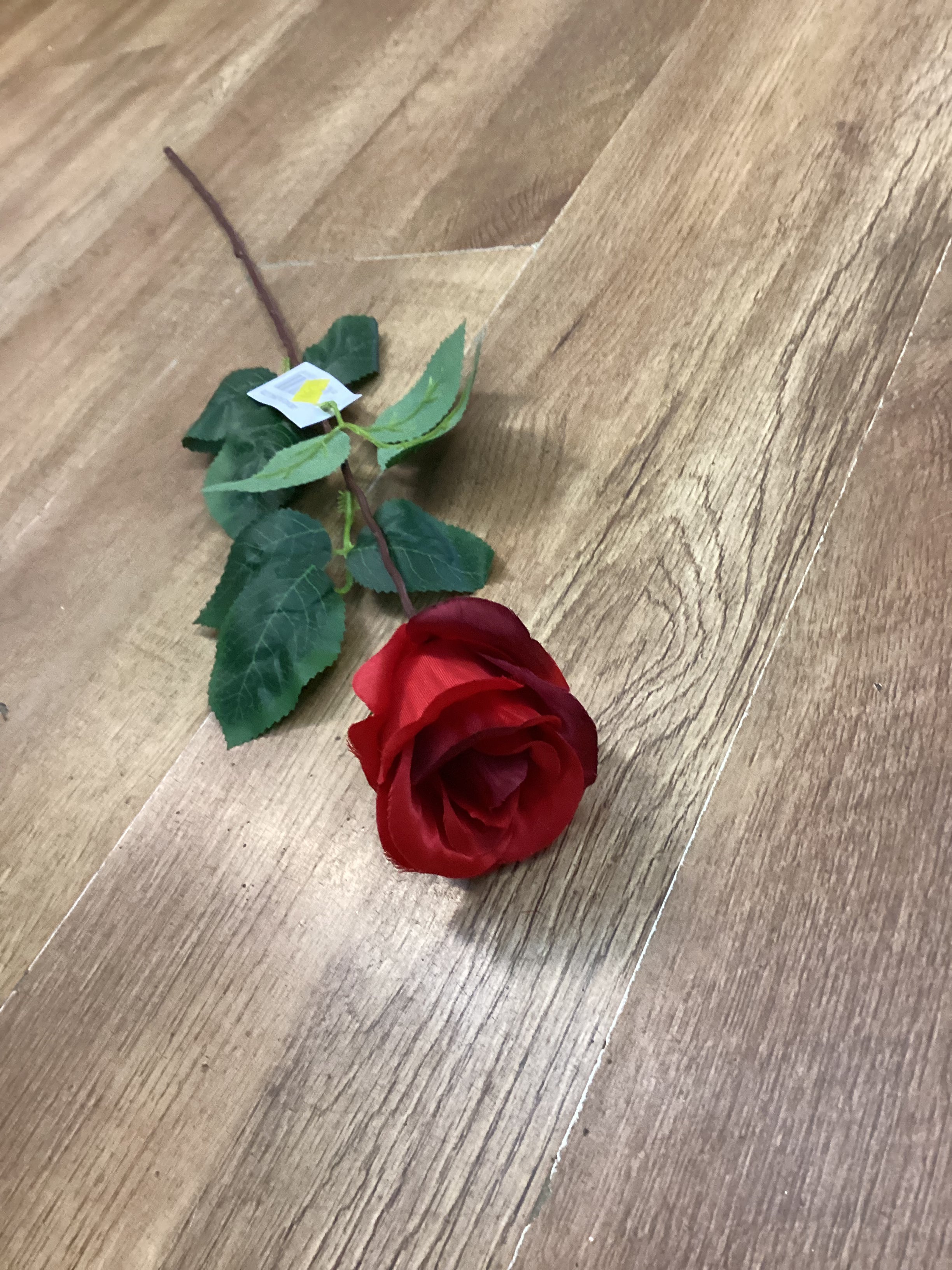 Long stem single rose - 6 colours available