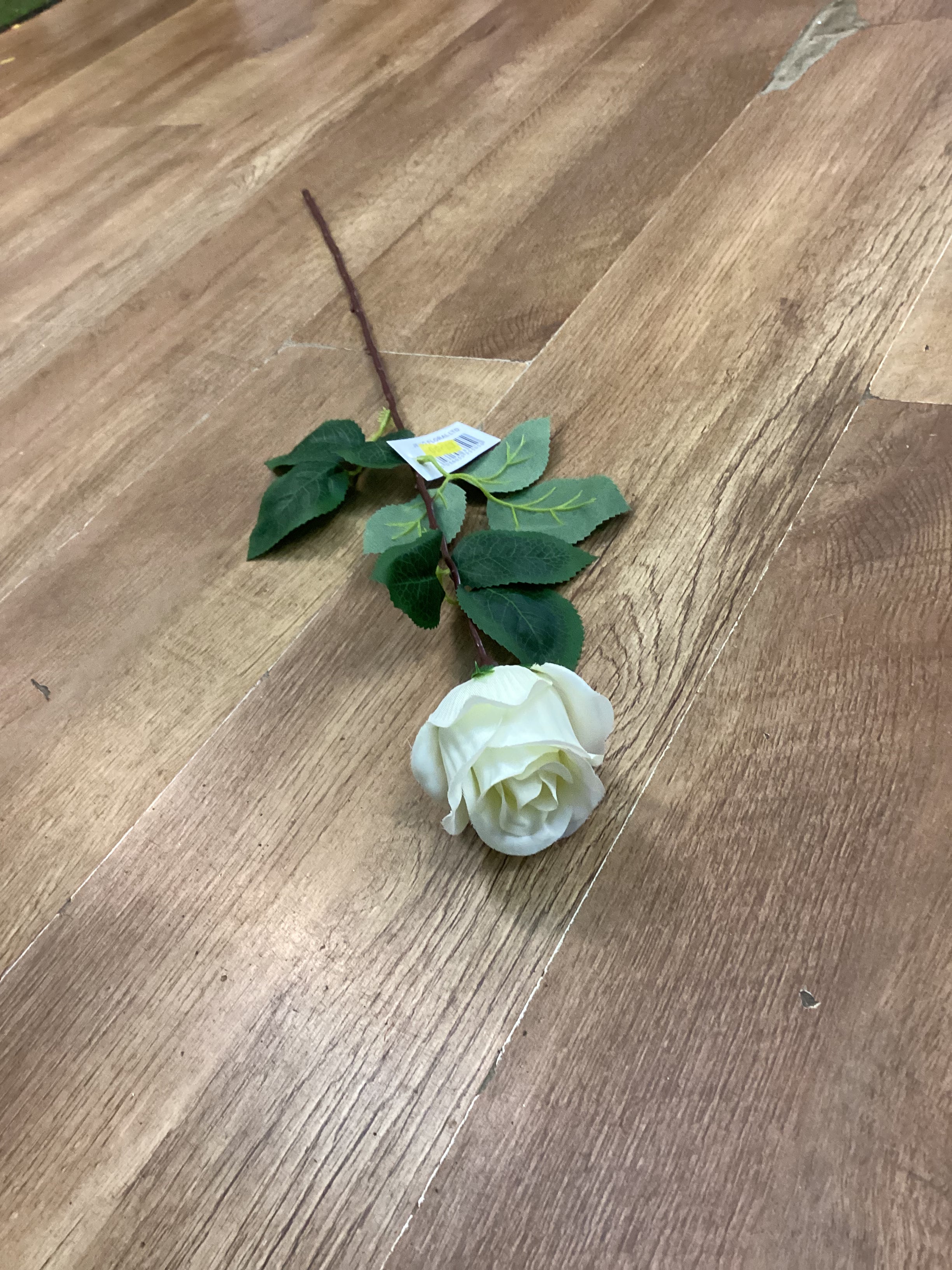 Long stem single rose - 6 colours available