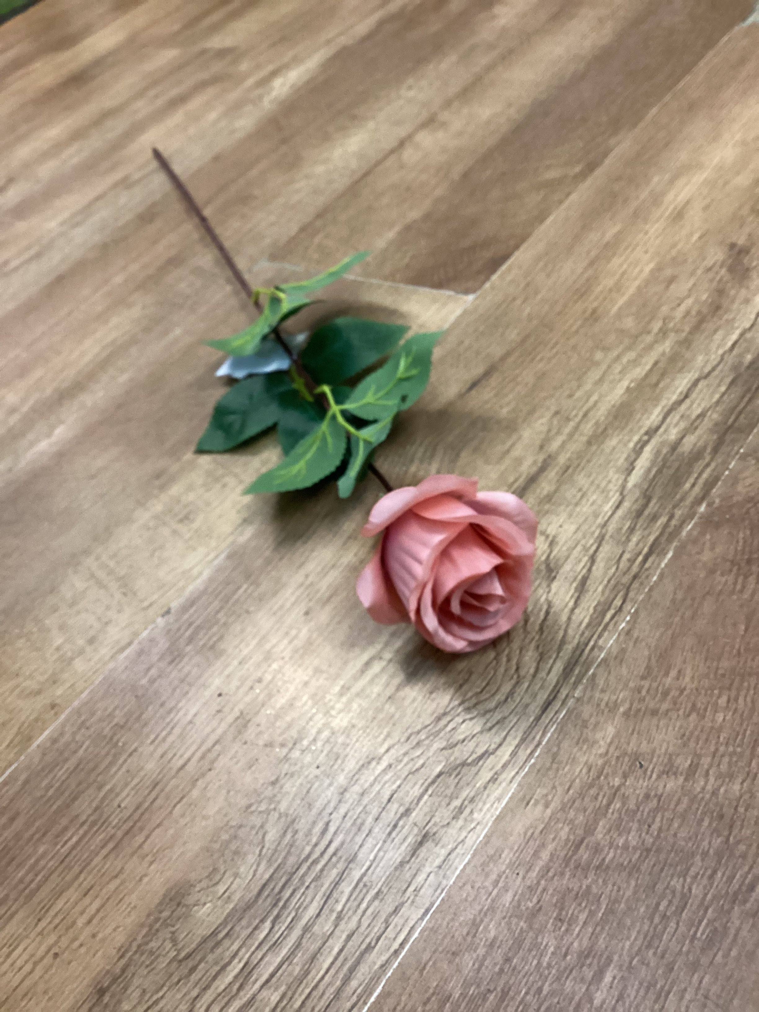 Long stem single rose - 6 colours available