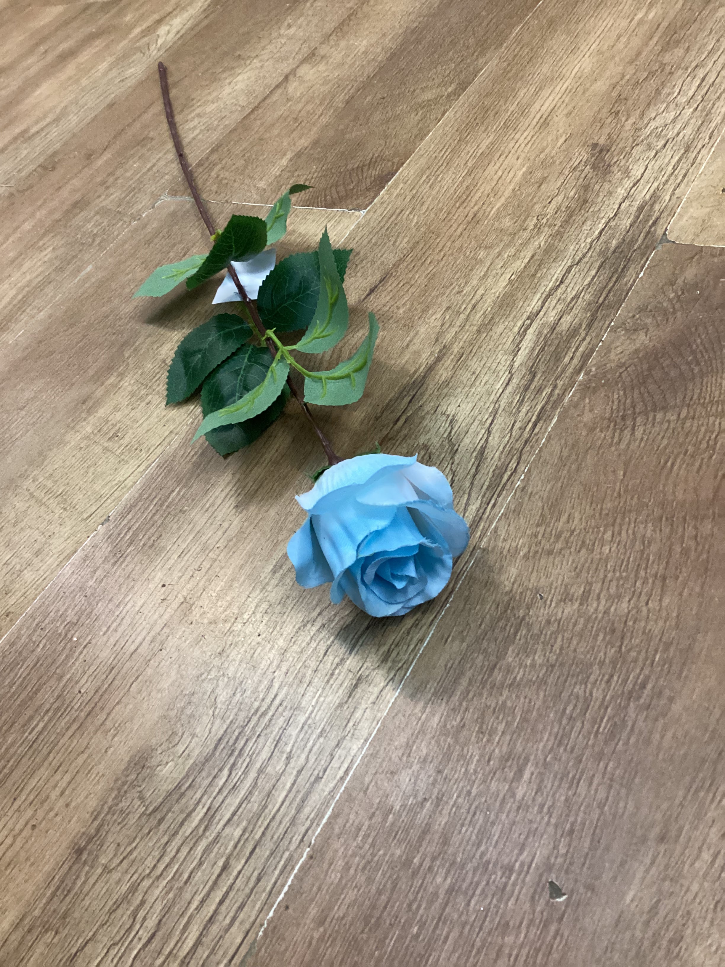Long stem single rose - 6 colours available