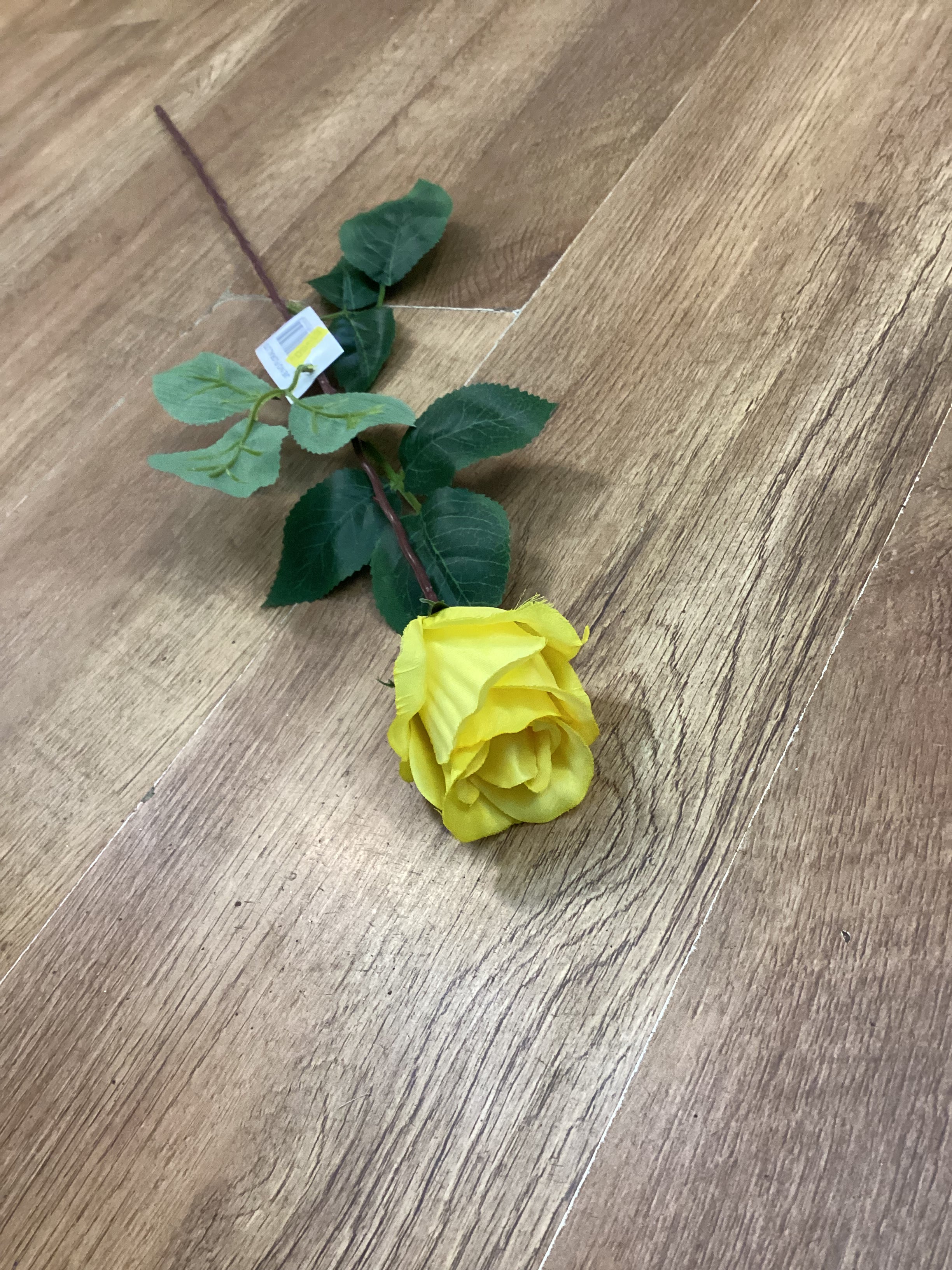 Long stem single rose - 6 colours available