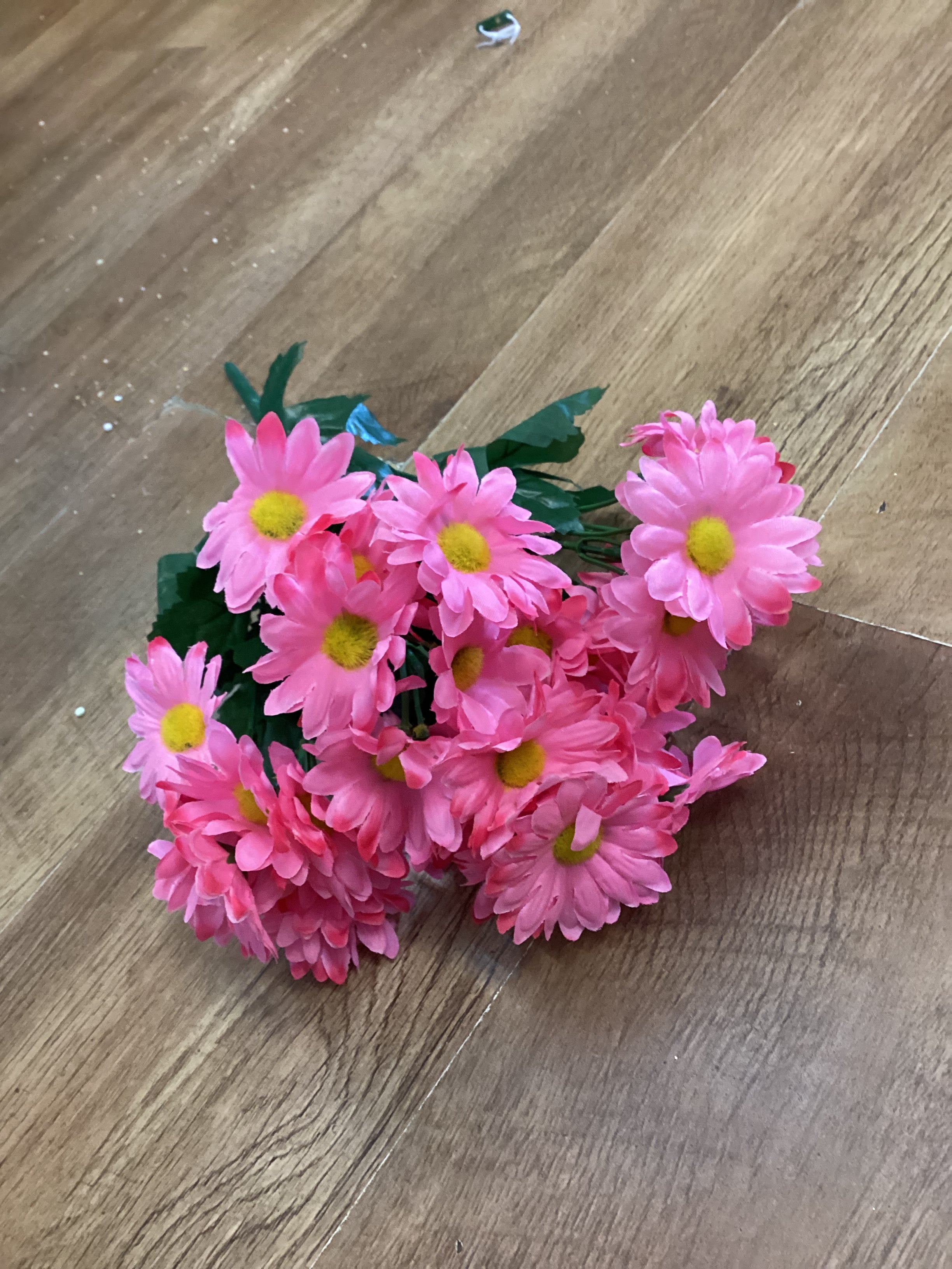 Large bunch pink daisies