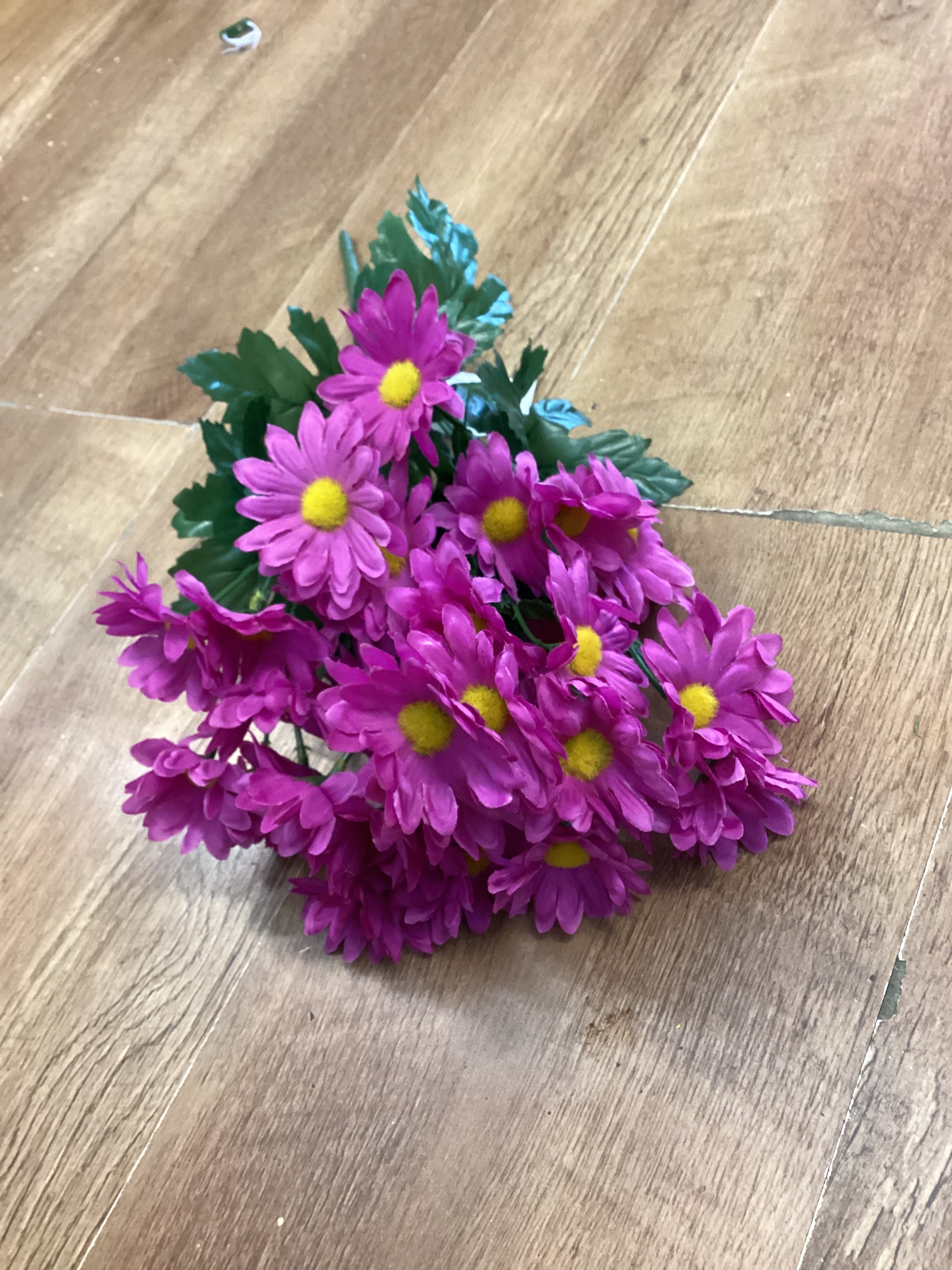 Large bunch raspberry daisies