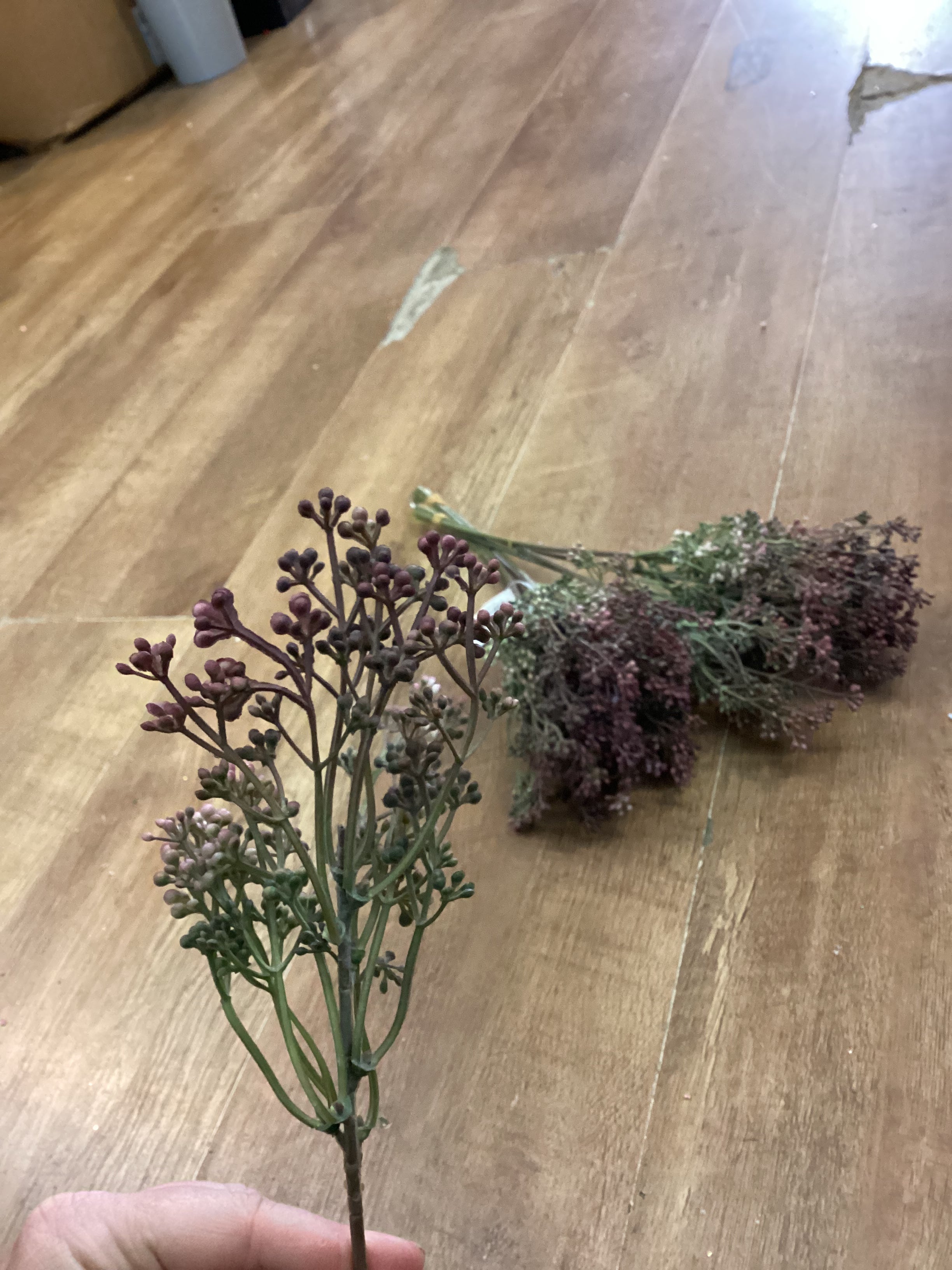 Bundle of 10 dusky mulberry felicity bud picks