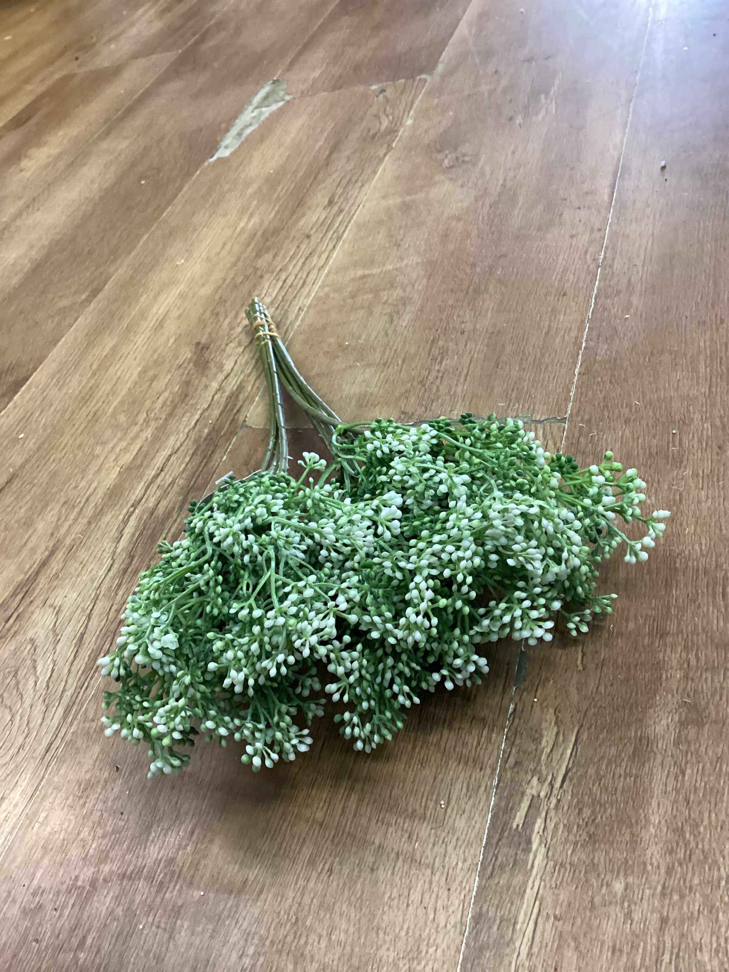 Bundle of 10 white felicity bud picks