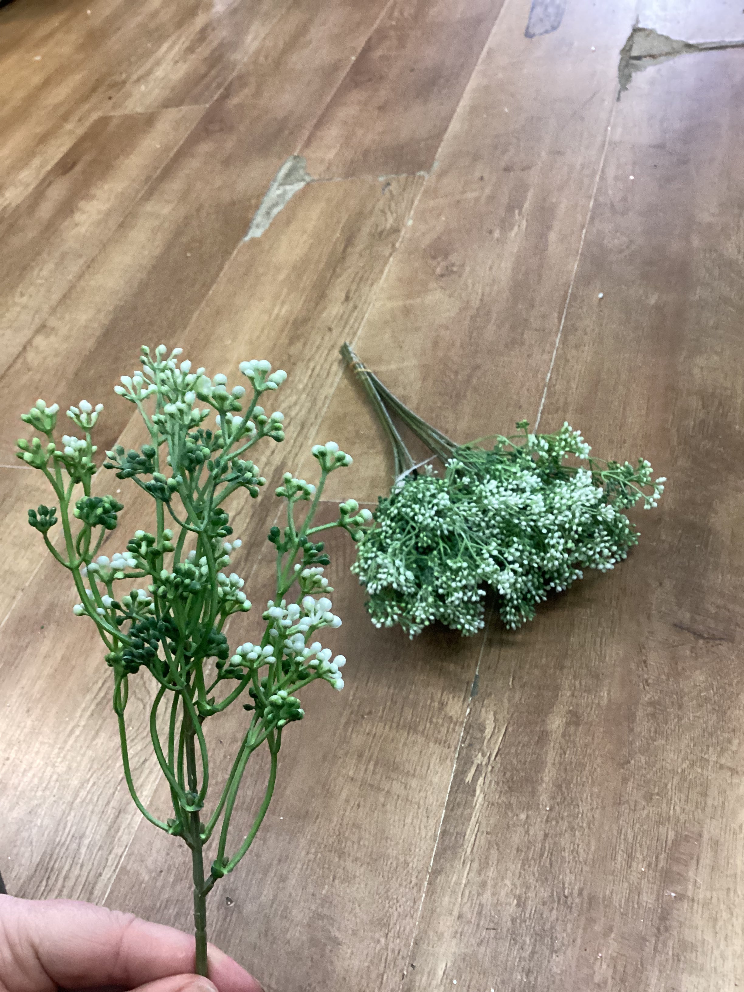 Bundle of 10 white felicity bud picks