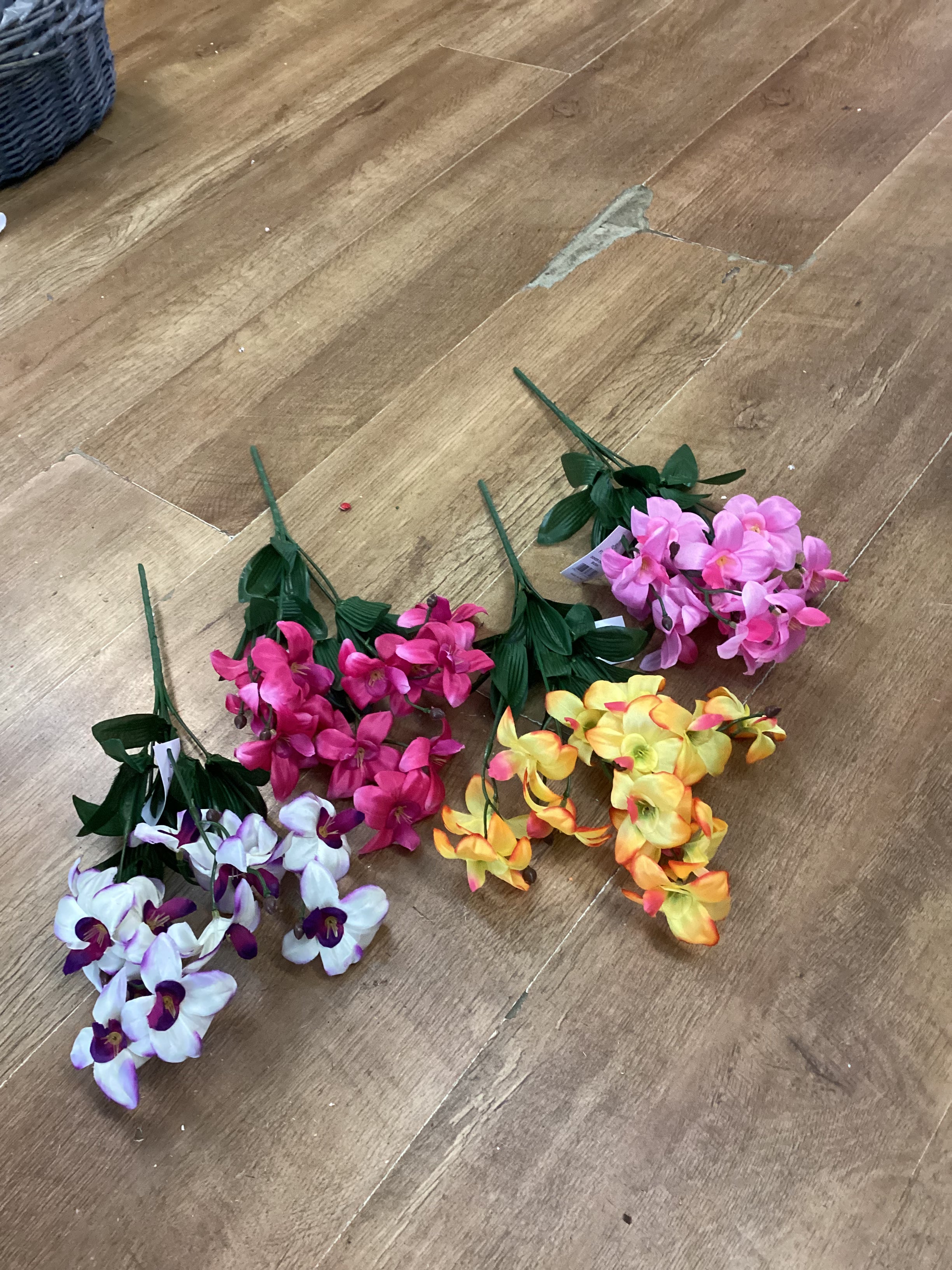 Dover orchid bush - 4 colours available