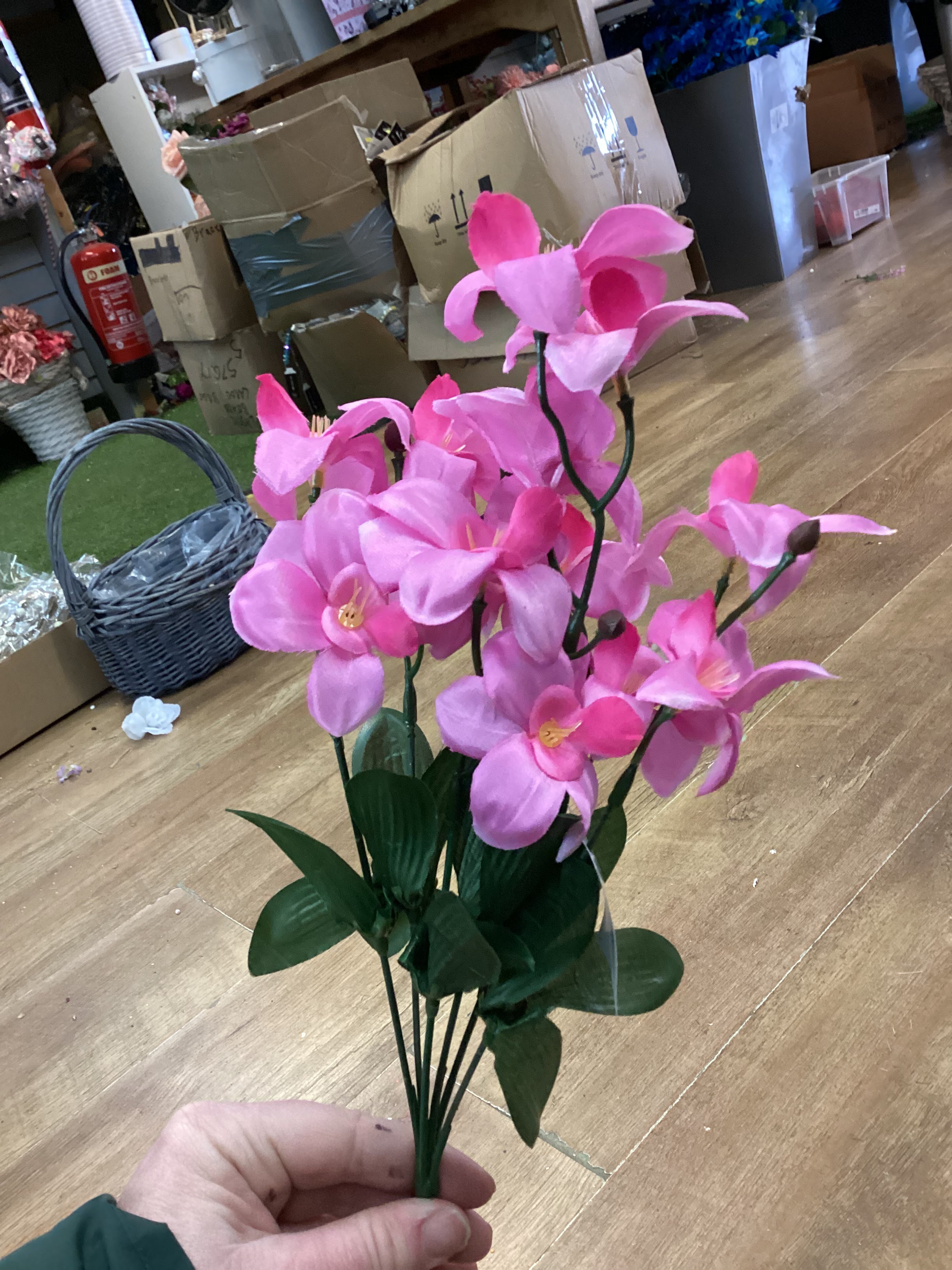 Dover orchid bush - 4 colours available