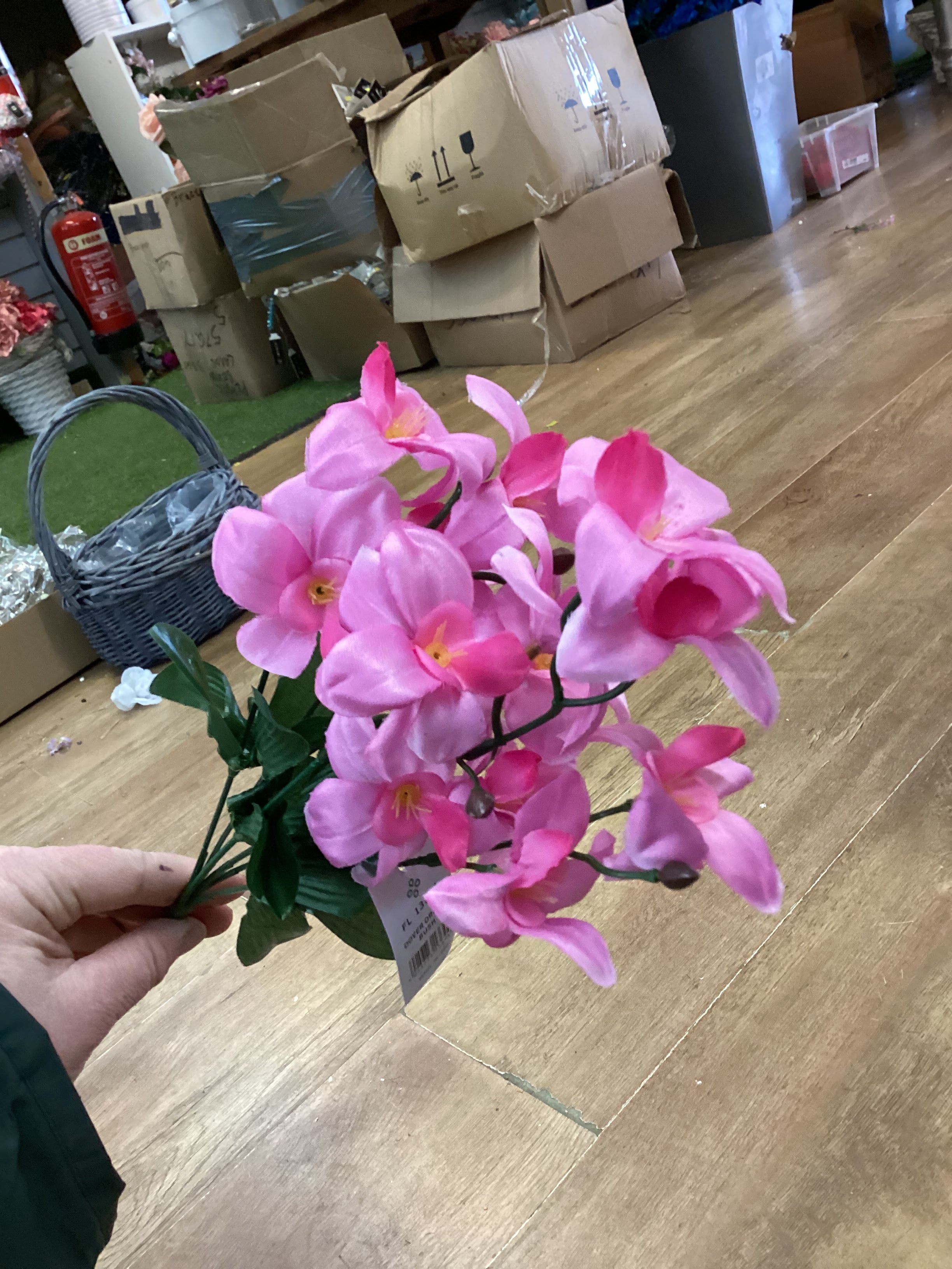 Dover orchid bush - 4 colours available