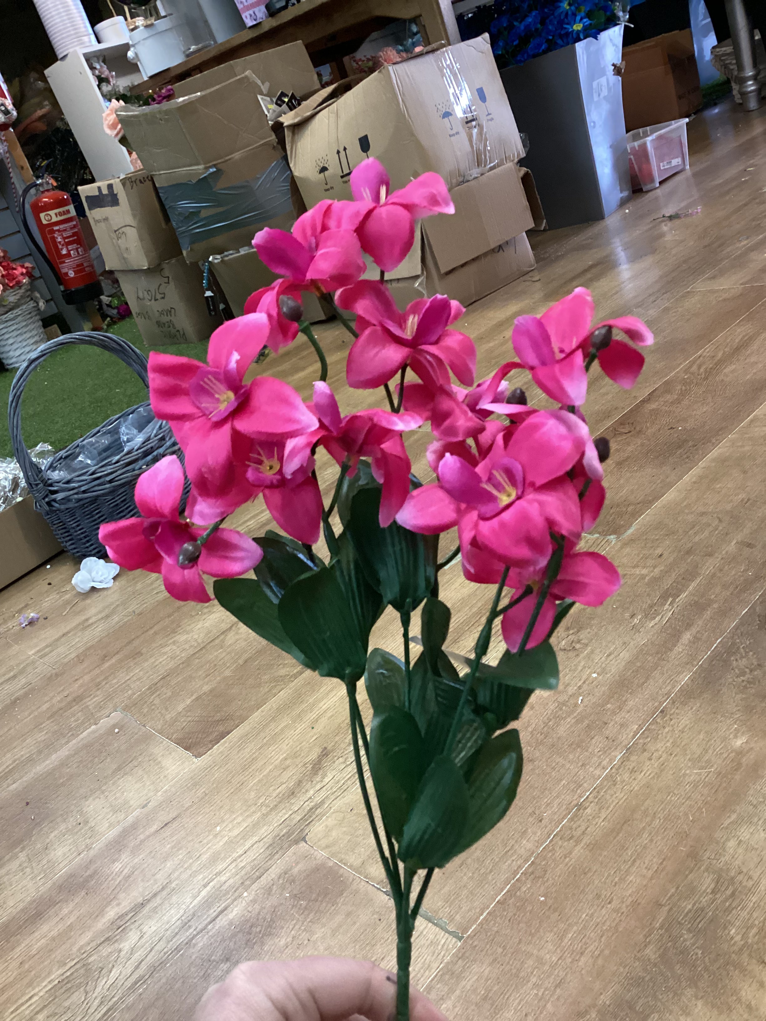 Dover orchid bush - 4 colours available