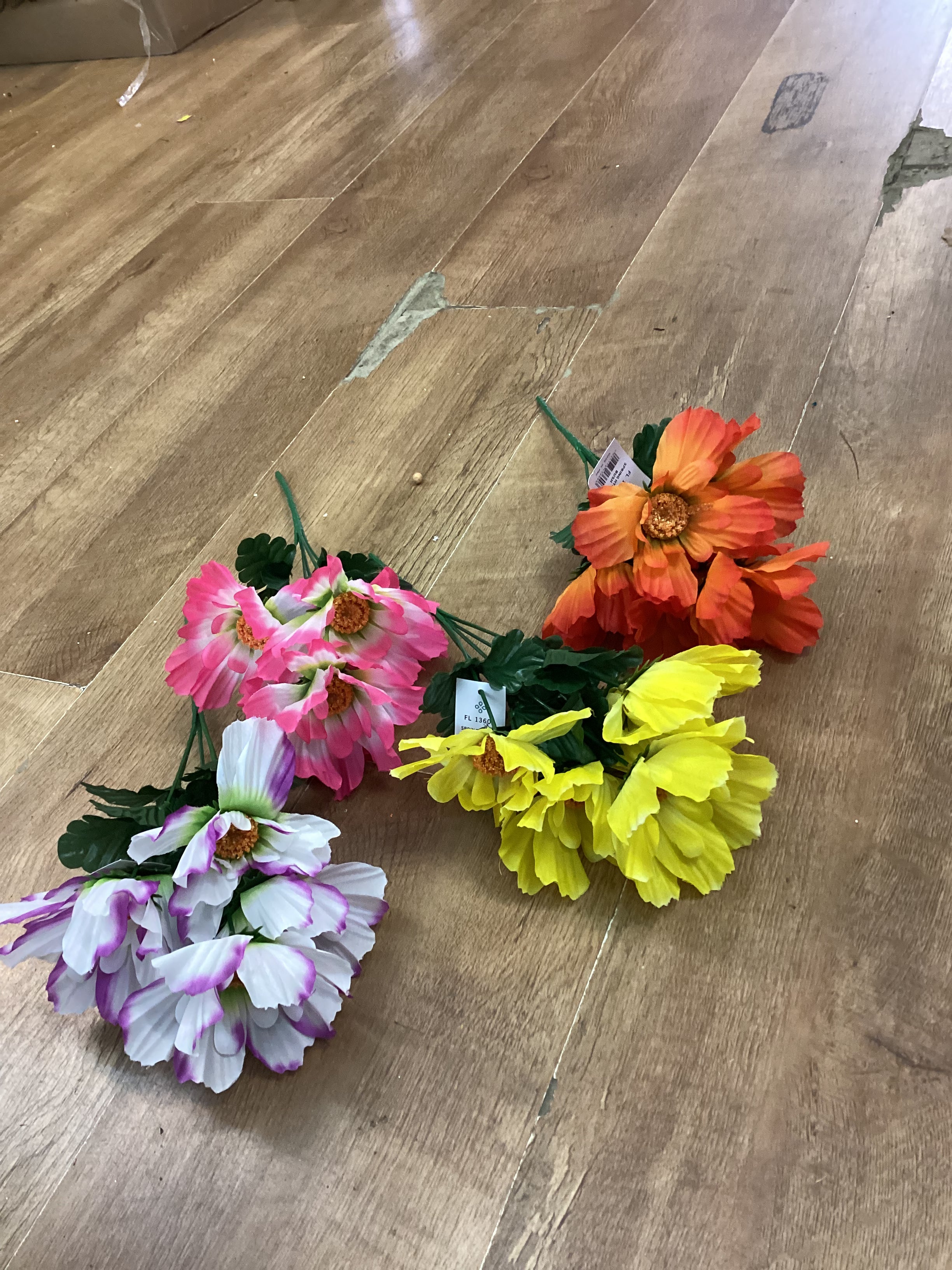 Spring hybrid bush - 4 colours available