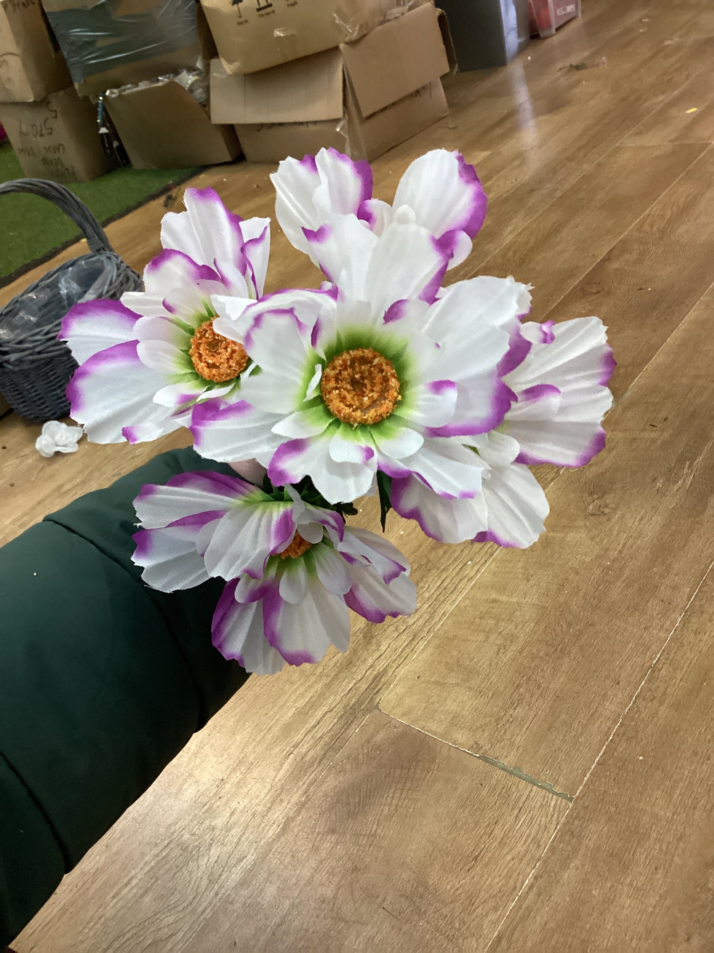 Spring hybrid bush - 4 colours available