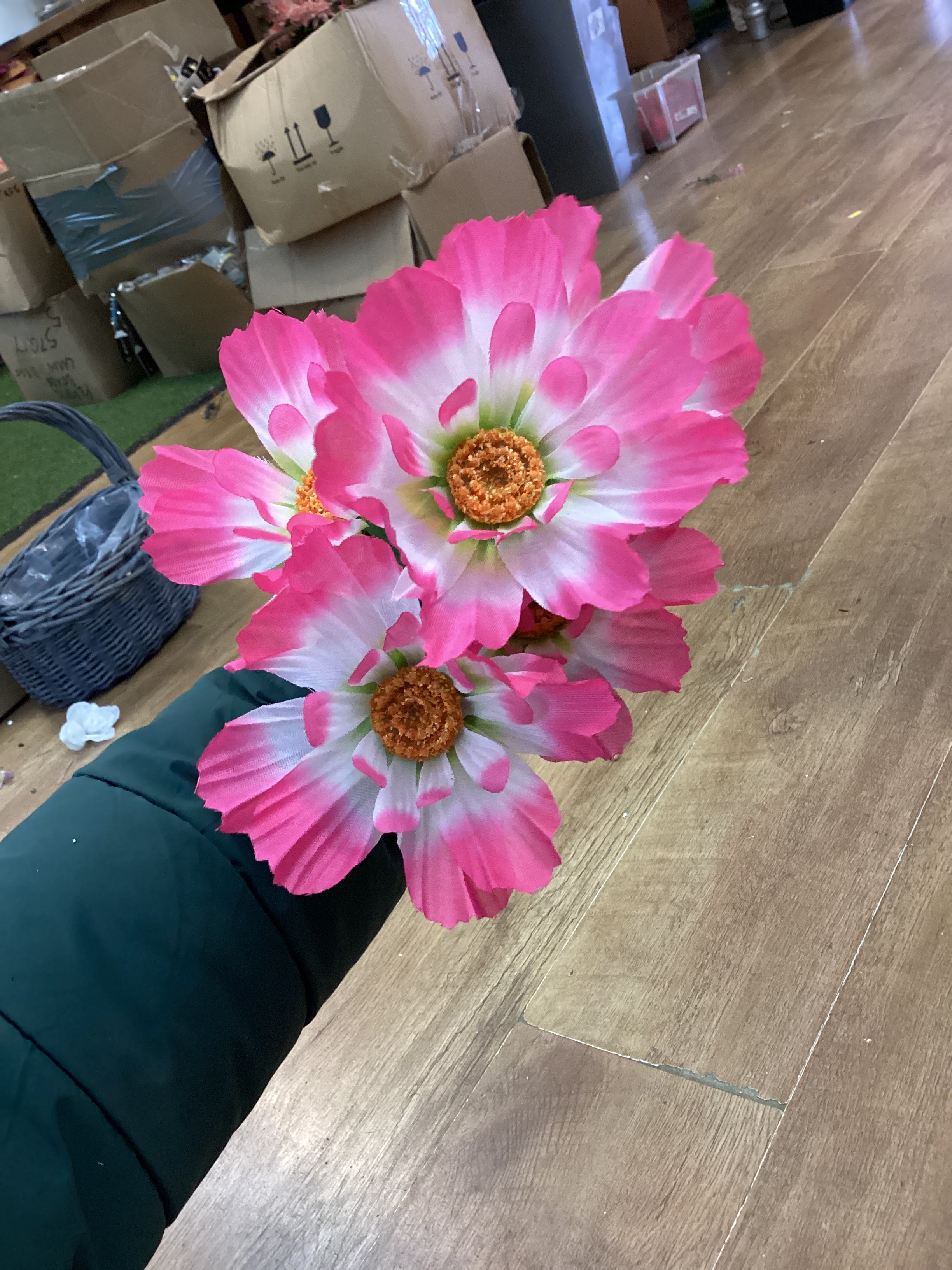 Spring hybrid bush - 4 colours available