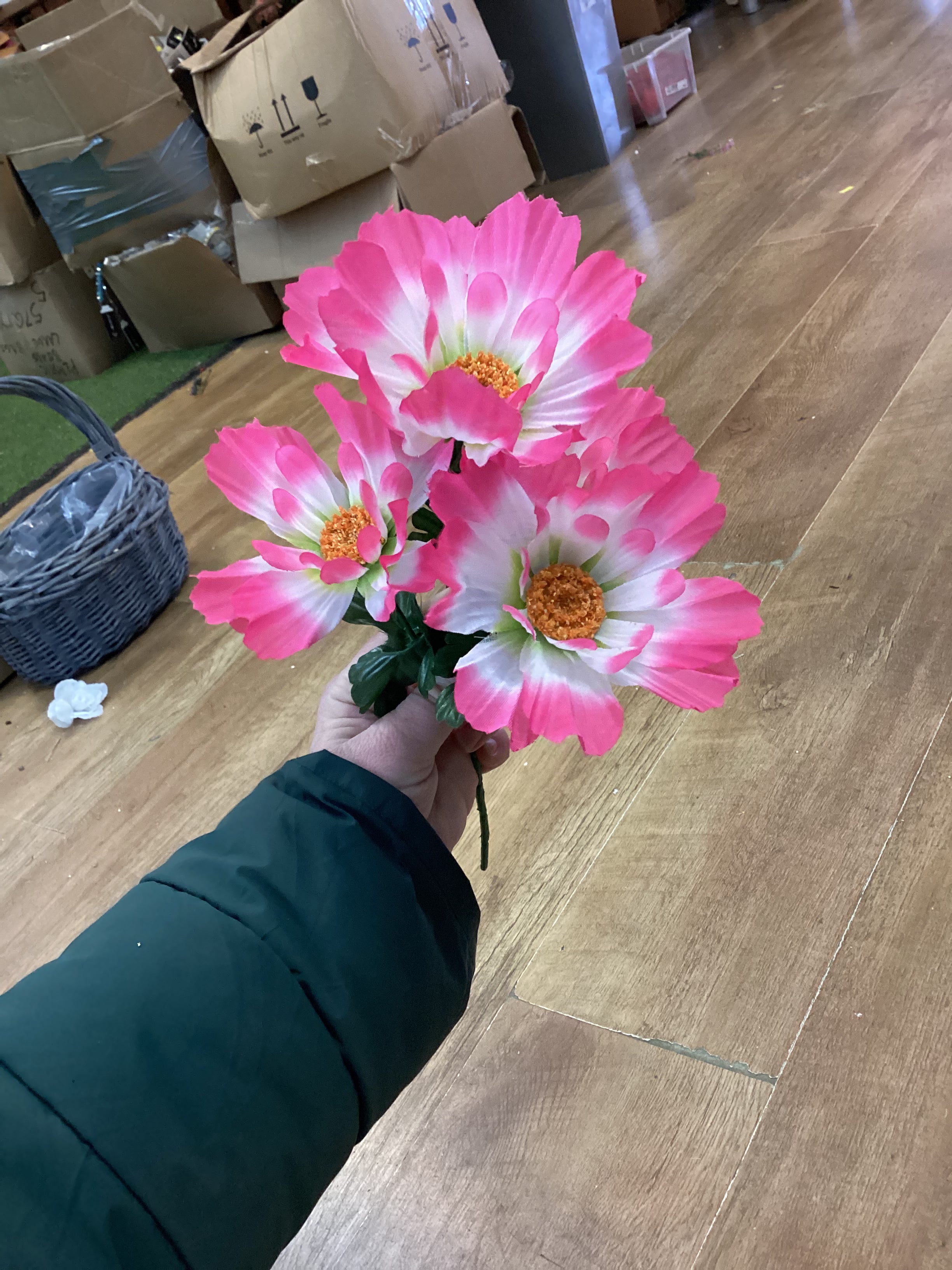 Spring hybrid bush - 4 colours available