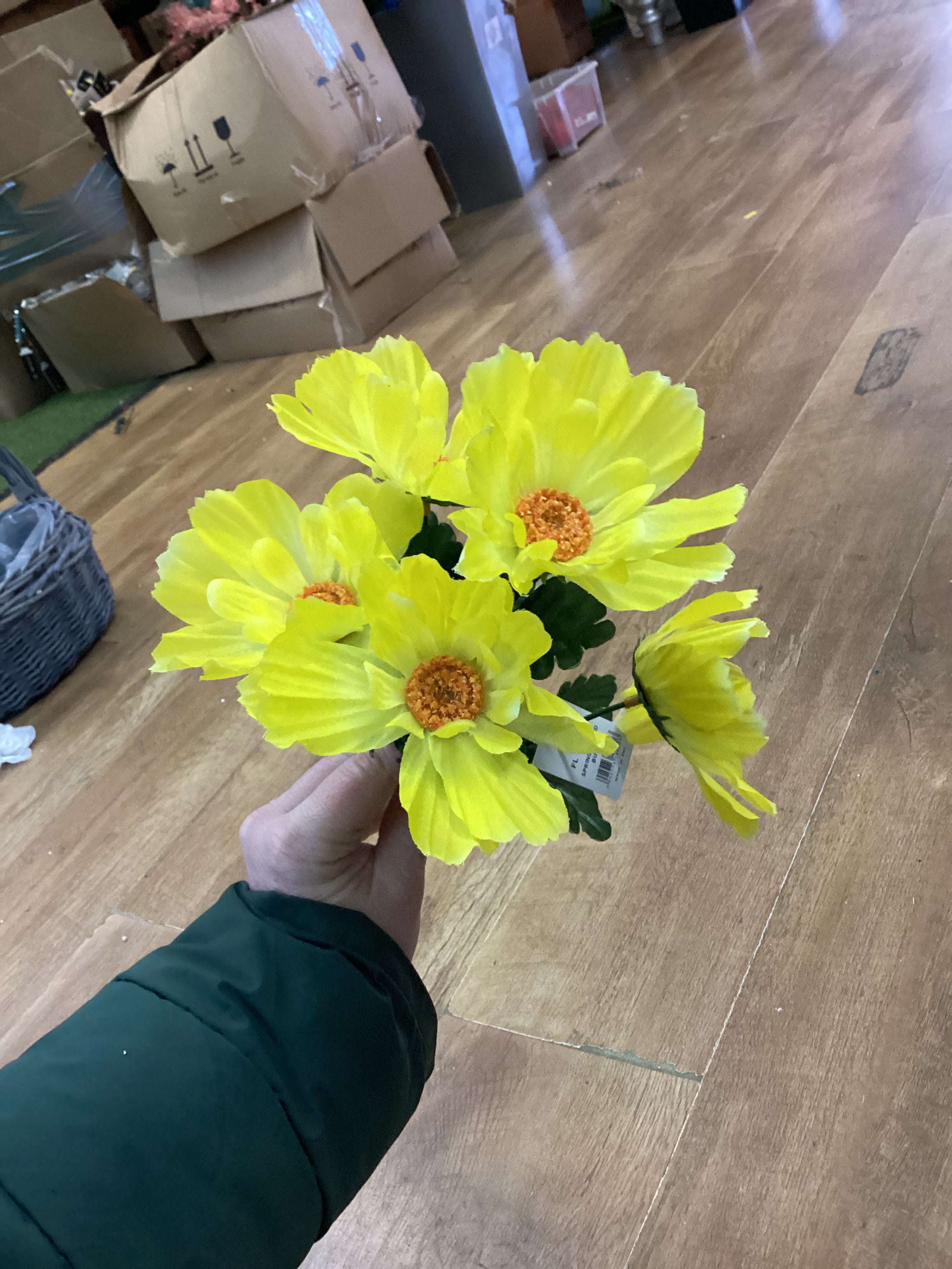 Spring hybrid bush - 4 colours available