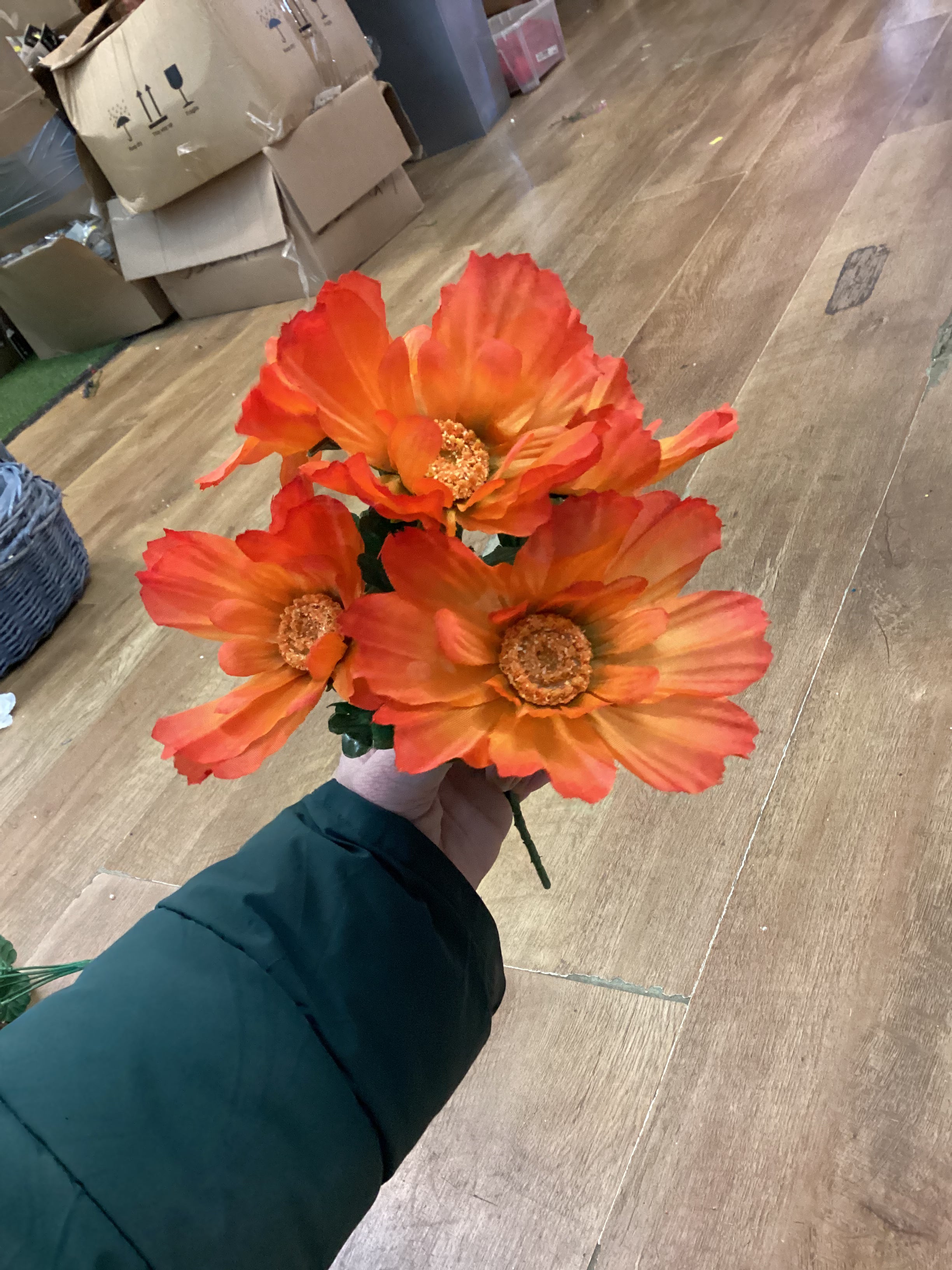 Spring hybrid bush - 4 colours available