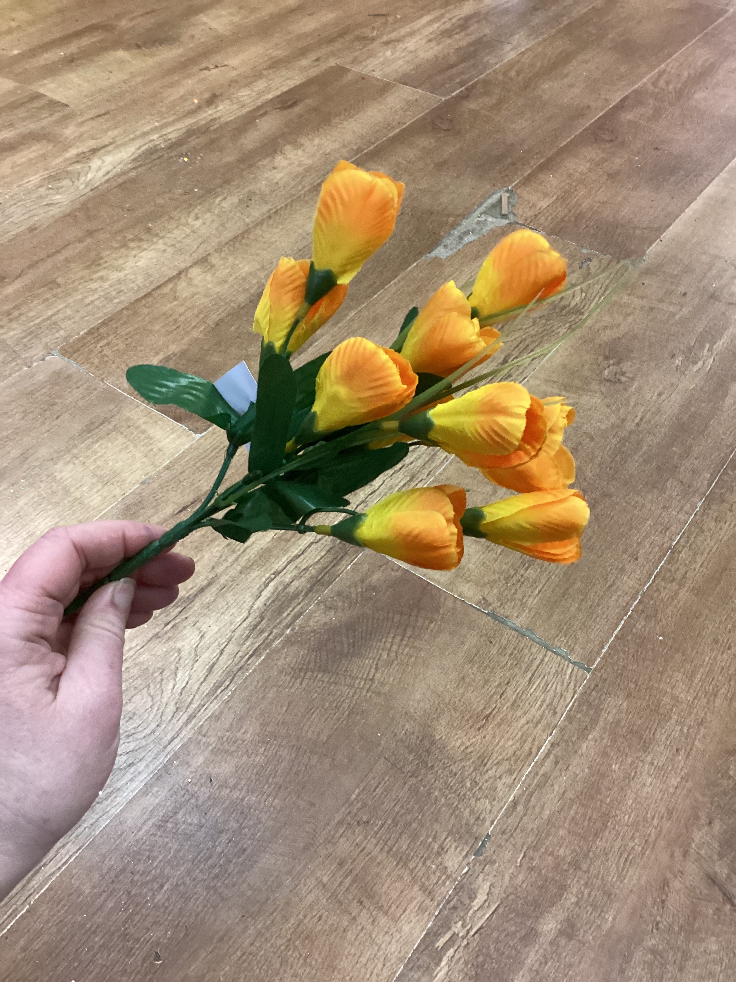 Crocus bunch - 6 colours available