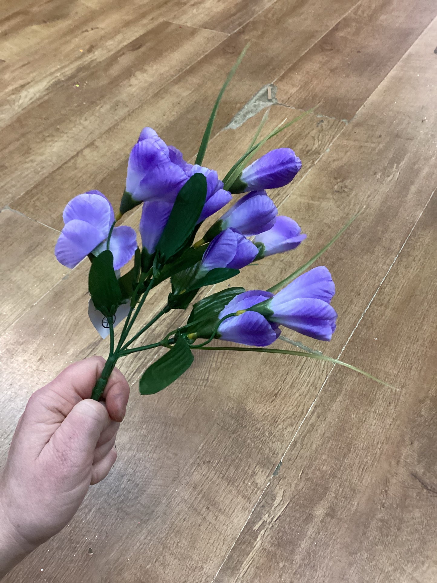 Crocus bunch - 6 colours available