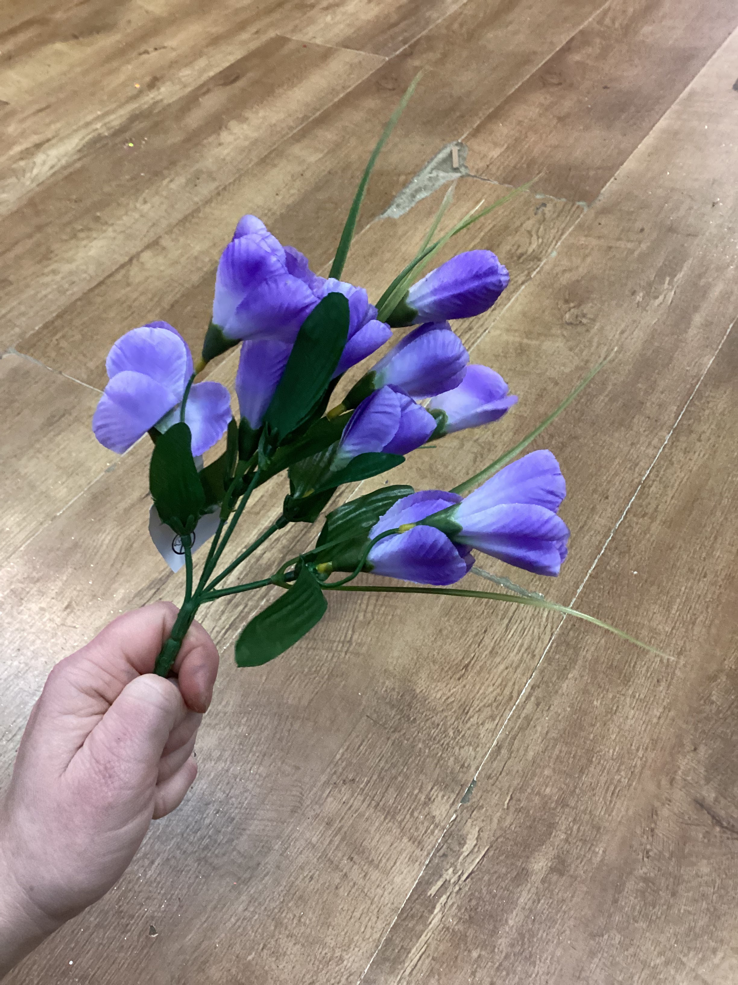 Crocus bunch - 6 colours available