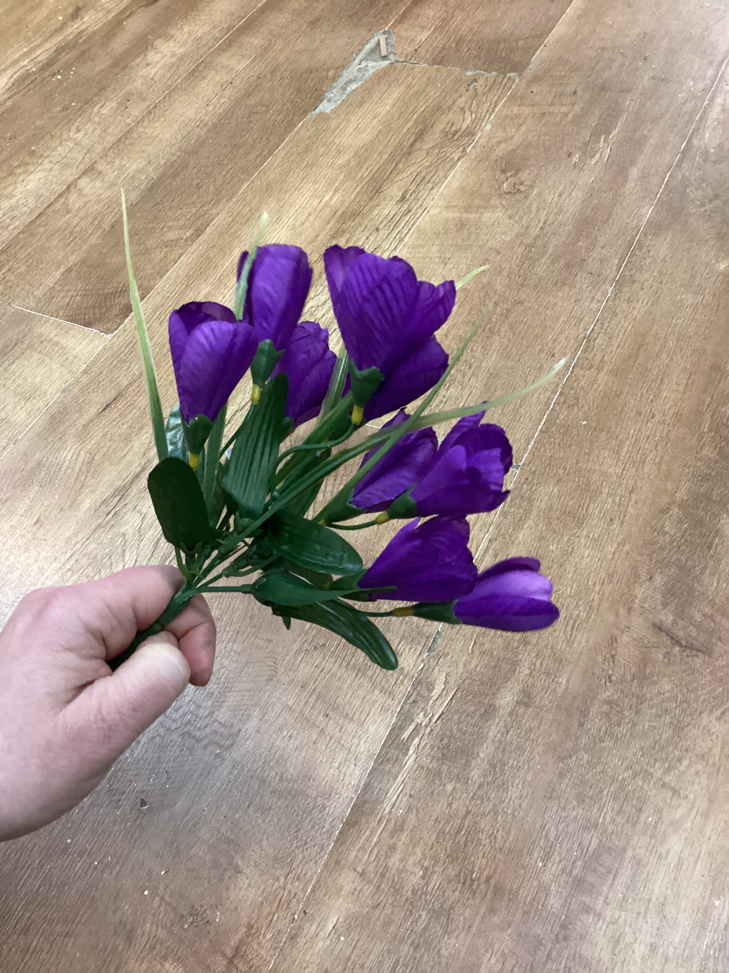 Crocus bunch - 6 colours available