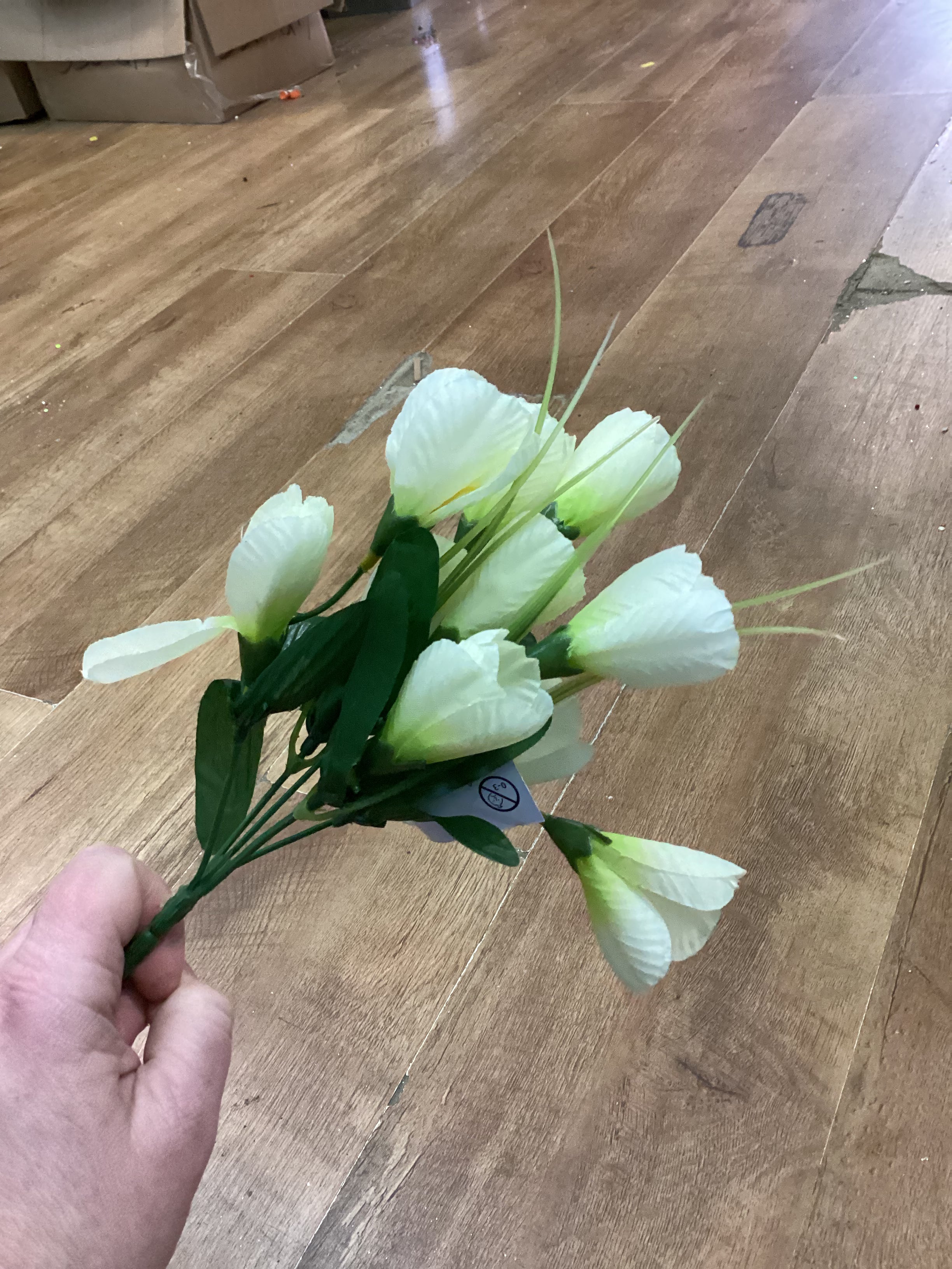 Crocus bunch - 6 colours available