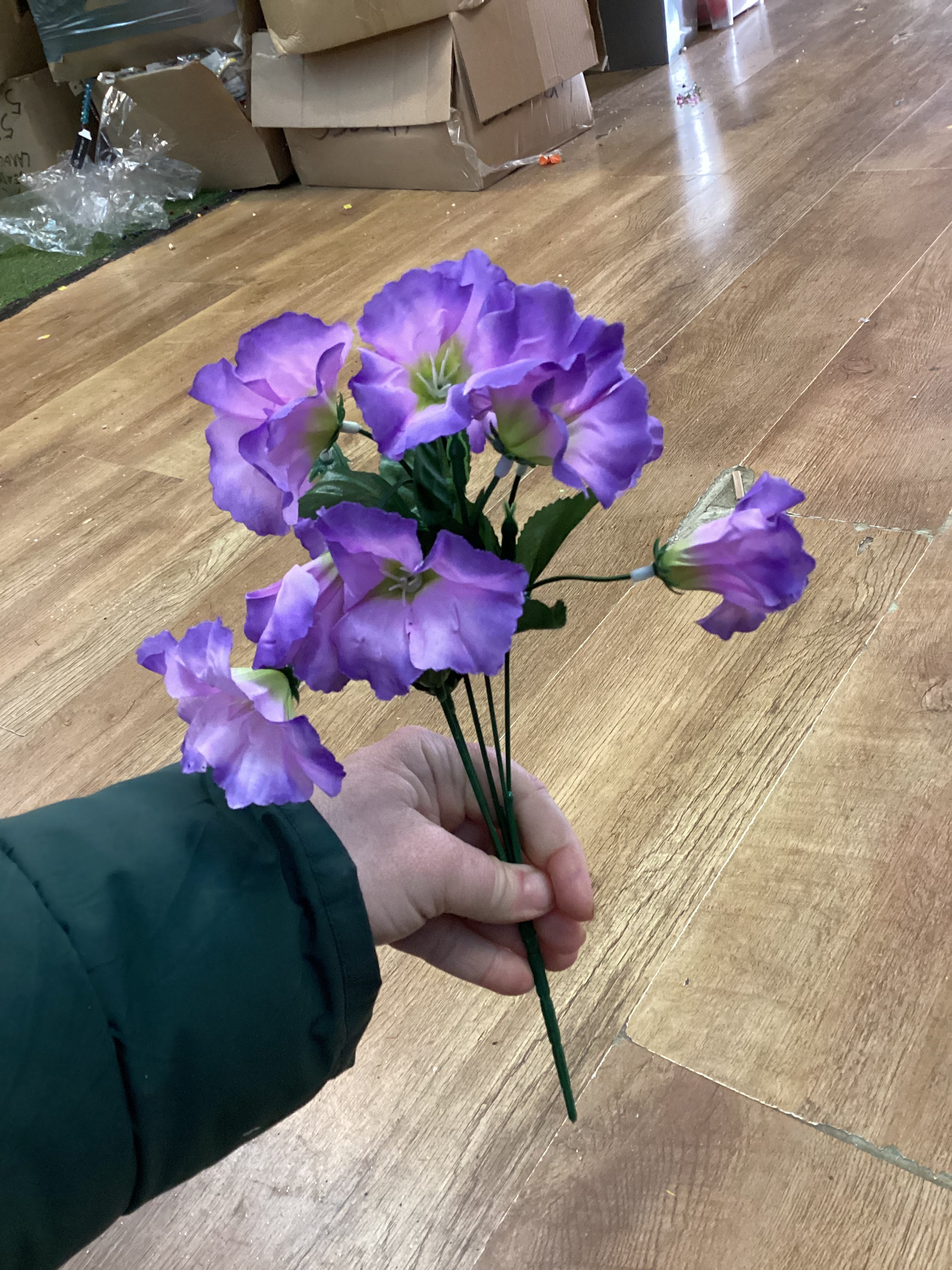 Petunia bunch - 4 colours available