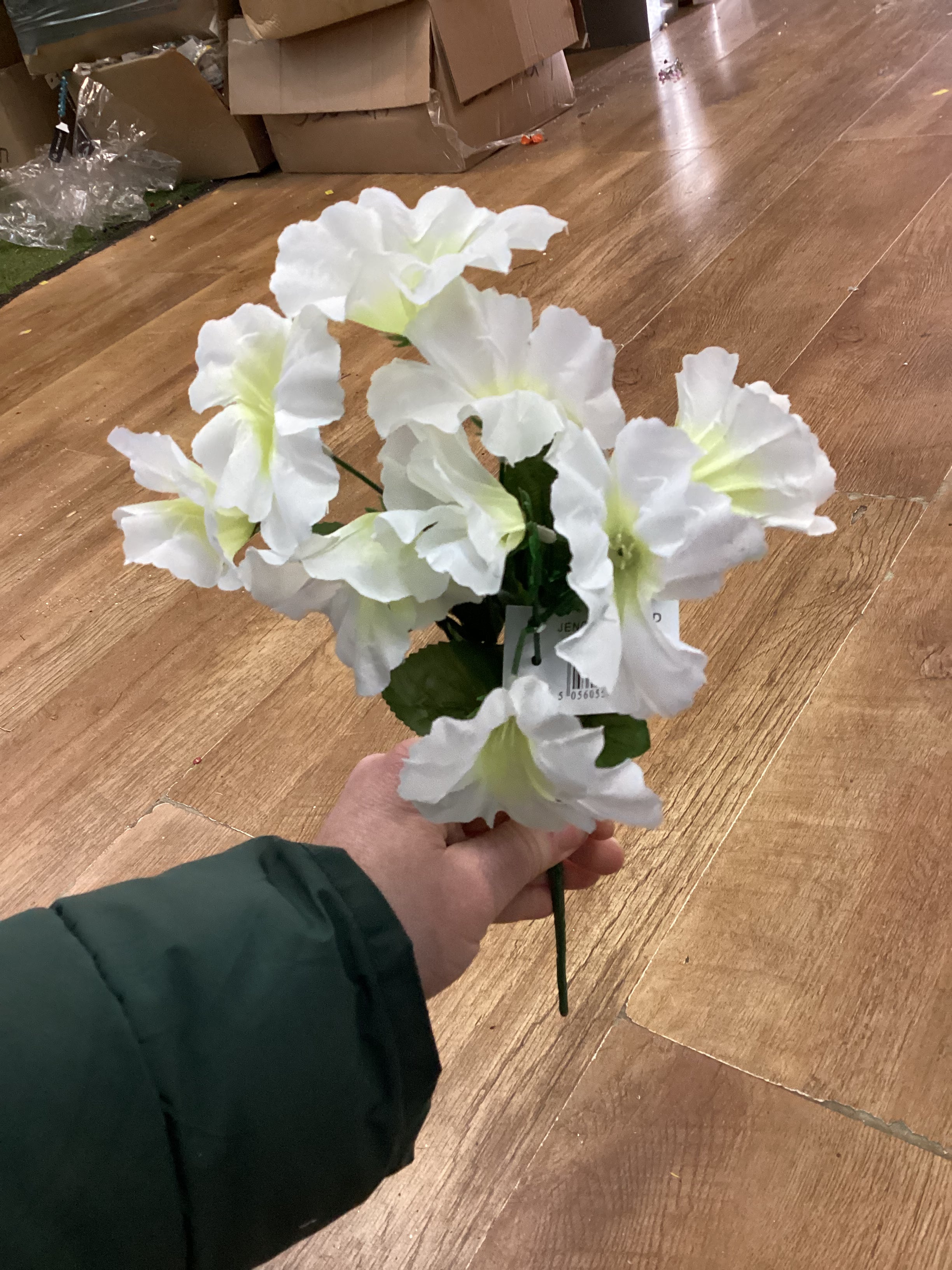 Petunia bunch - 4 colours available