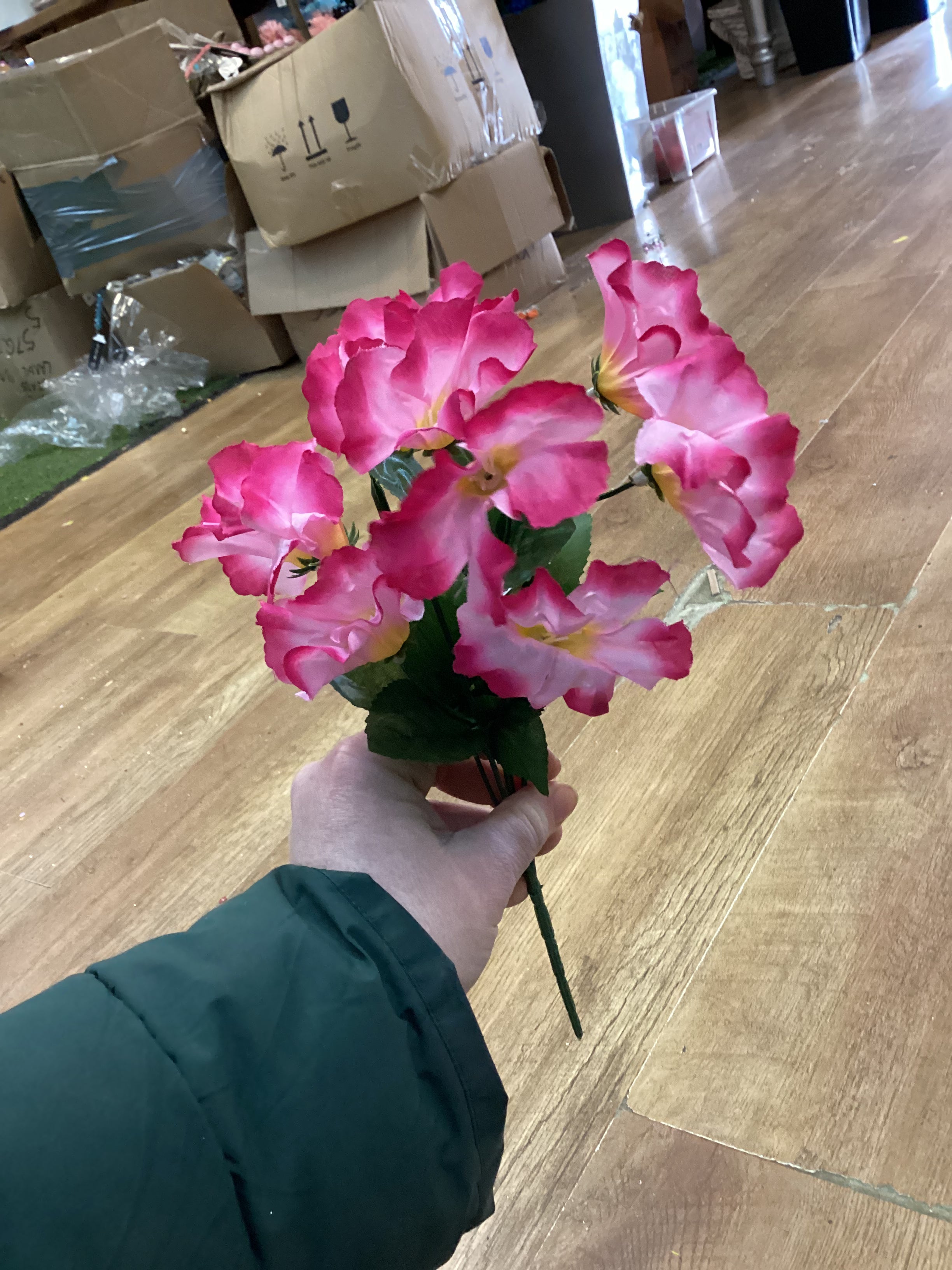 Petunia bunch - 4 colours available