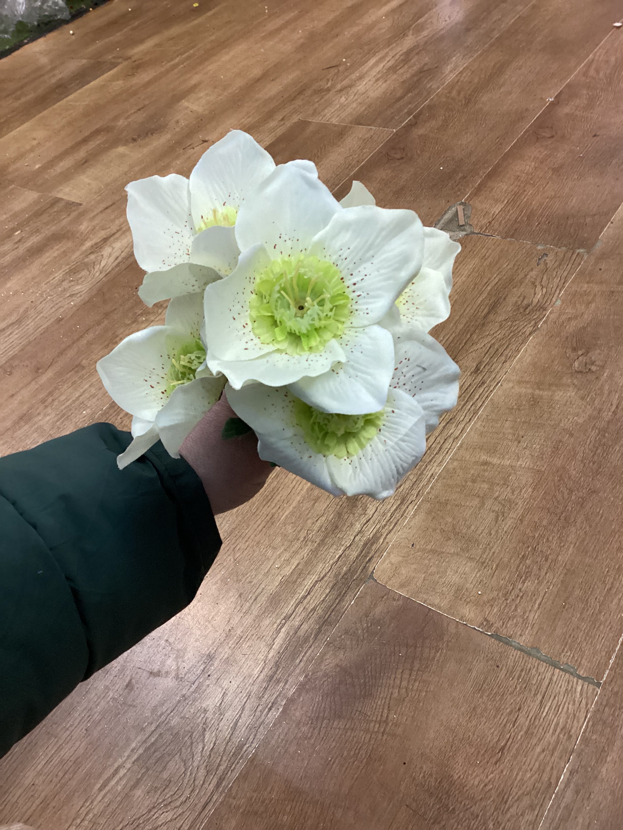Lotus bunch - 5 colours available