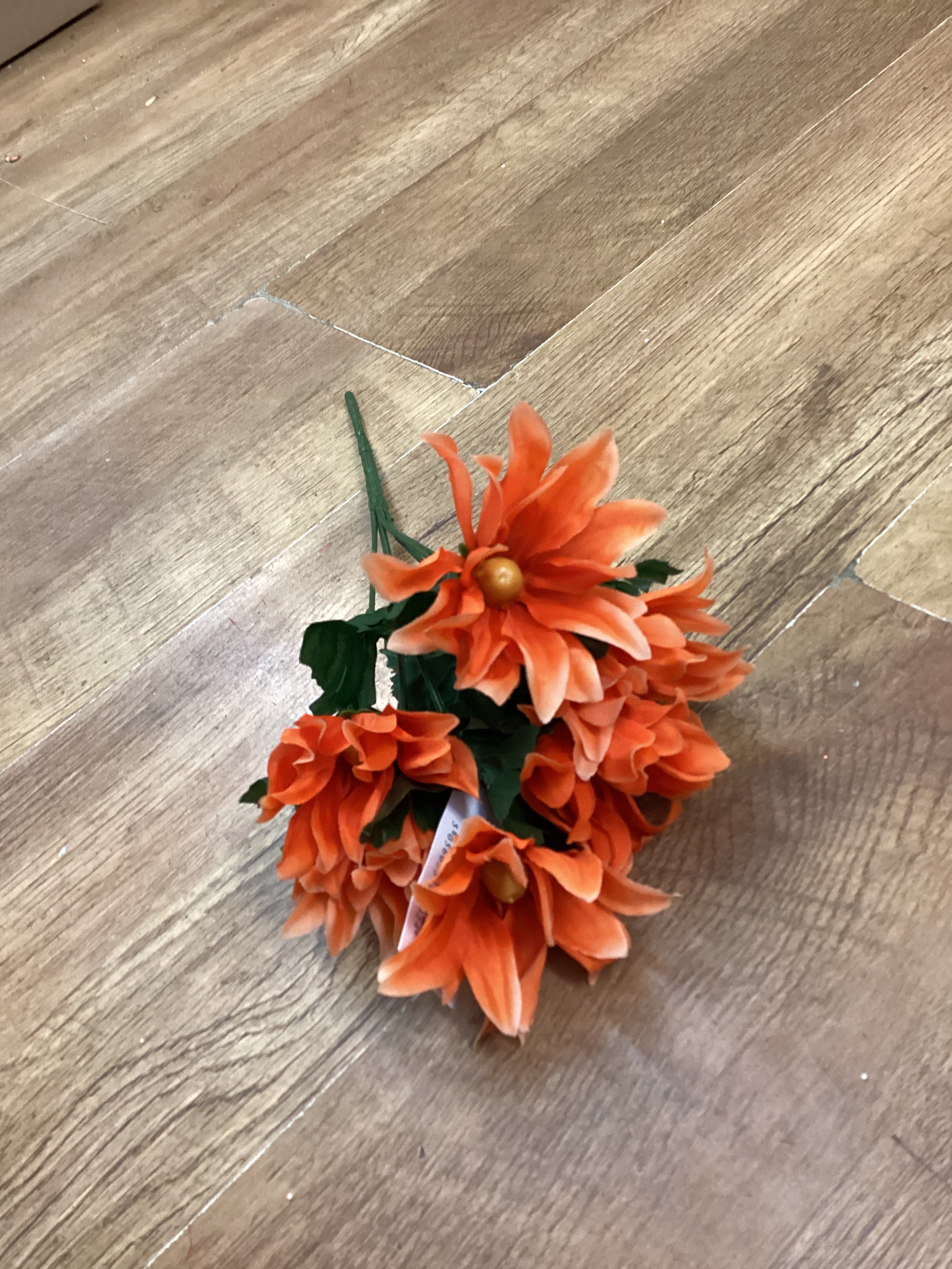 Wild daisy bunch - 6 colours available