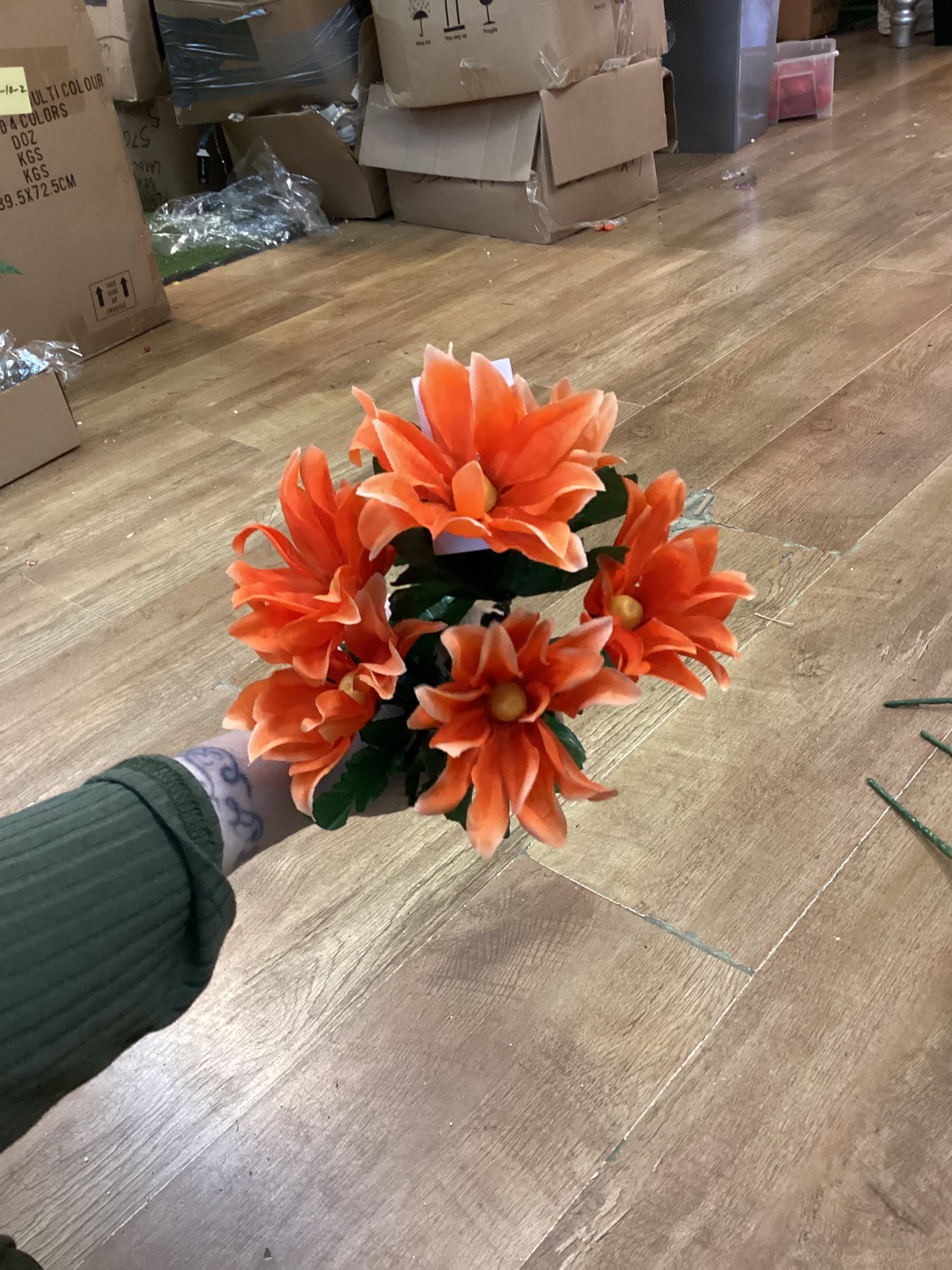 Wild daisy bunch - 6 colours available