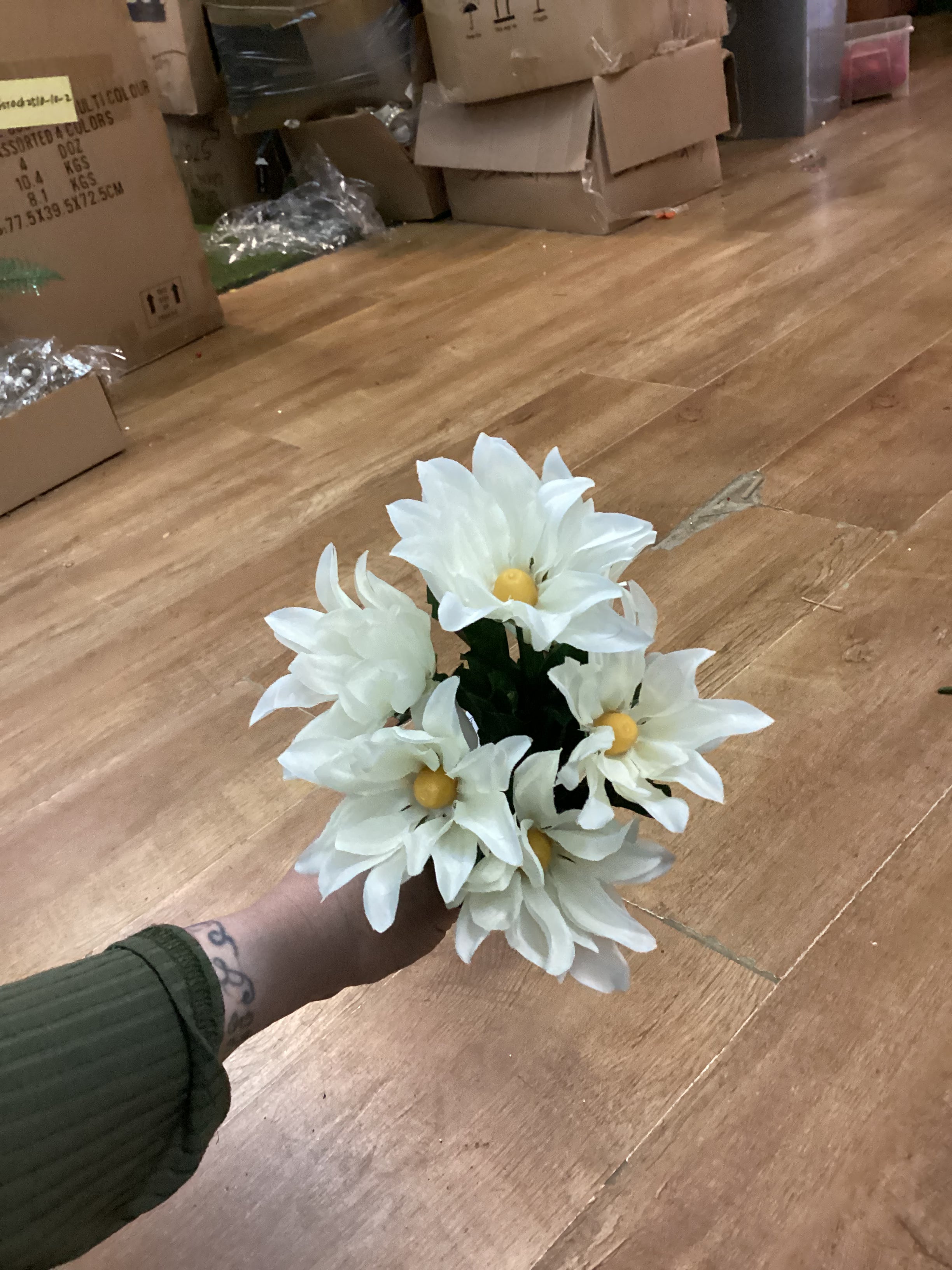 Wild daisy bunch - 6 colours available