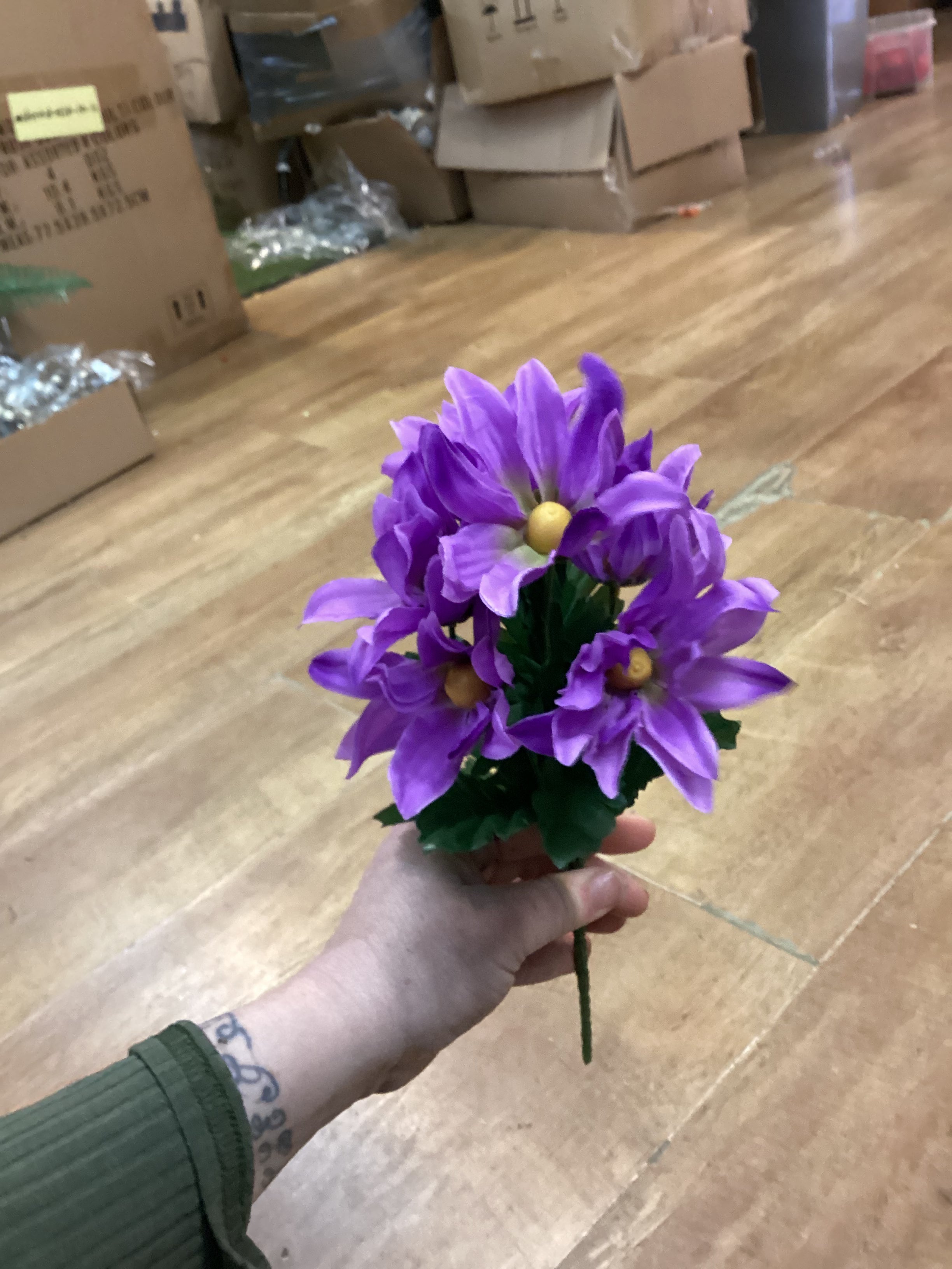Wild daisy bunch - 6 colours available