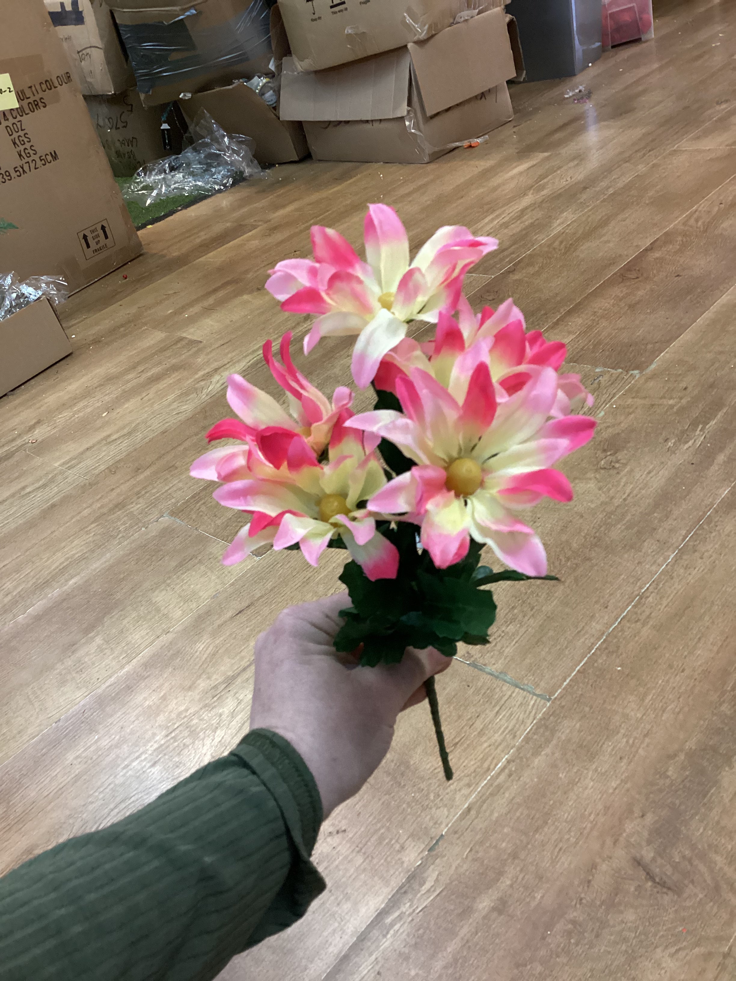 Wild daisy bunch - 6 colours available