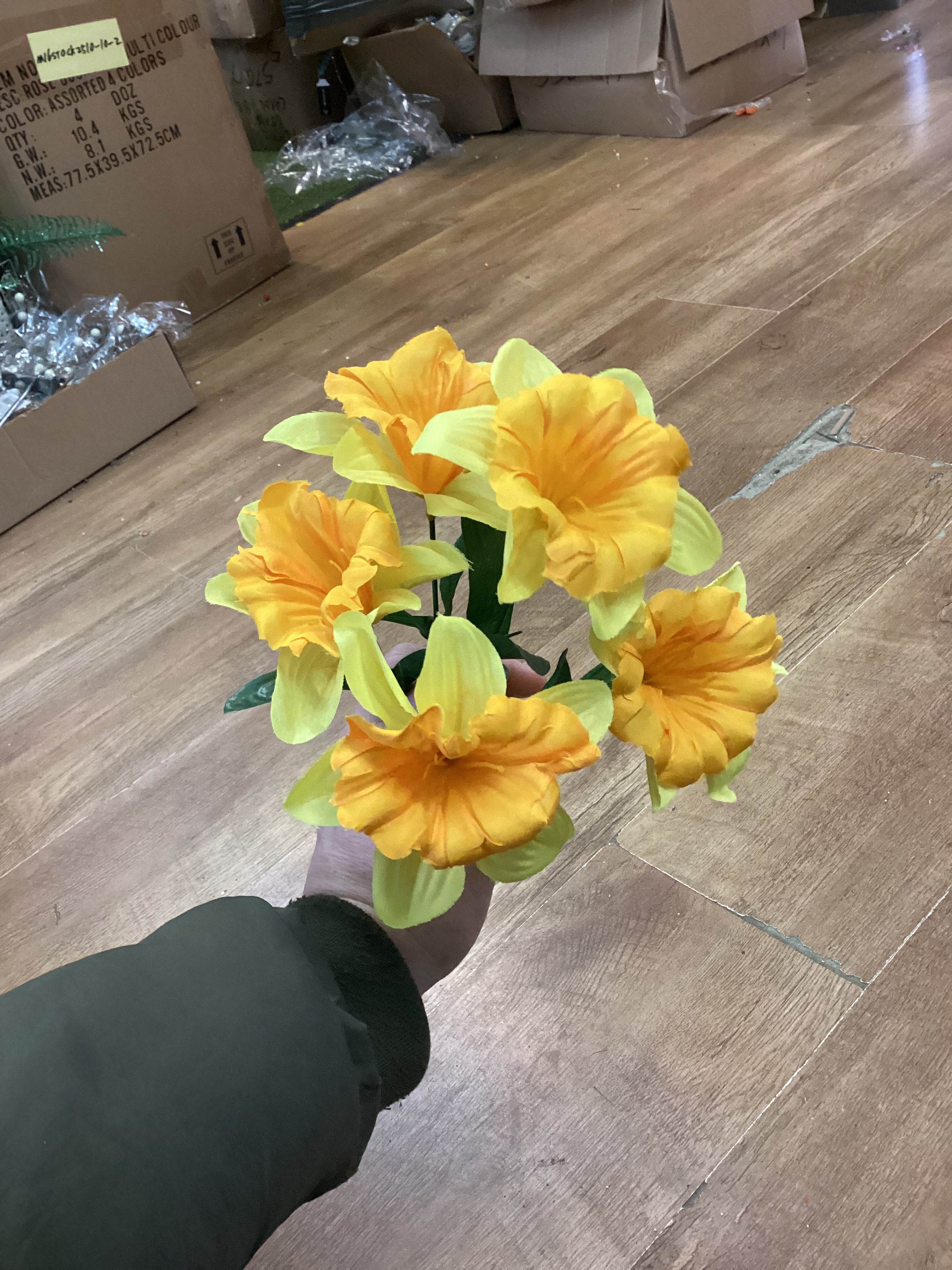 Daffodil bunch - 3 colours available
