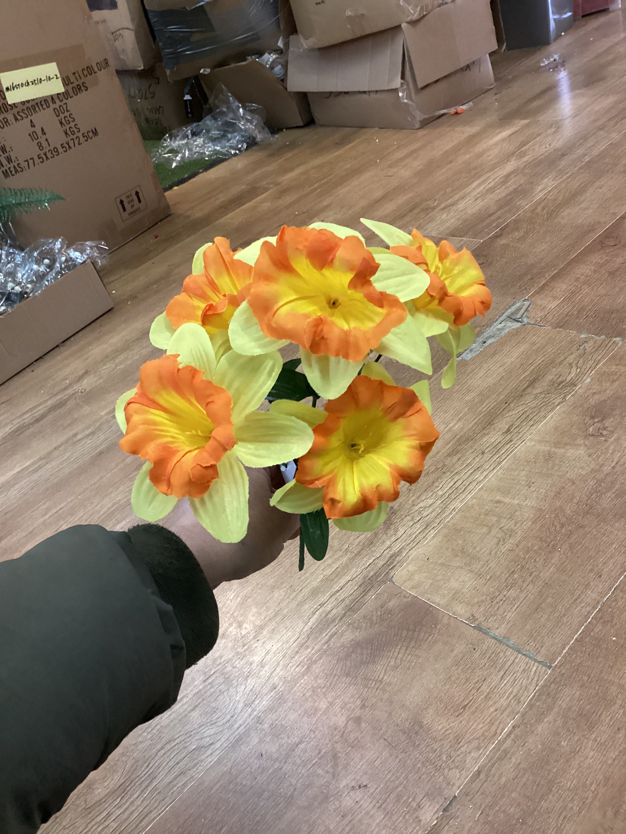 Daffodil bunch - 3 colours available