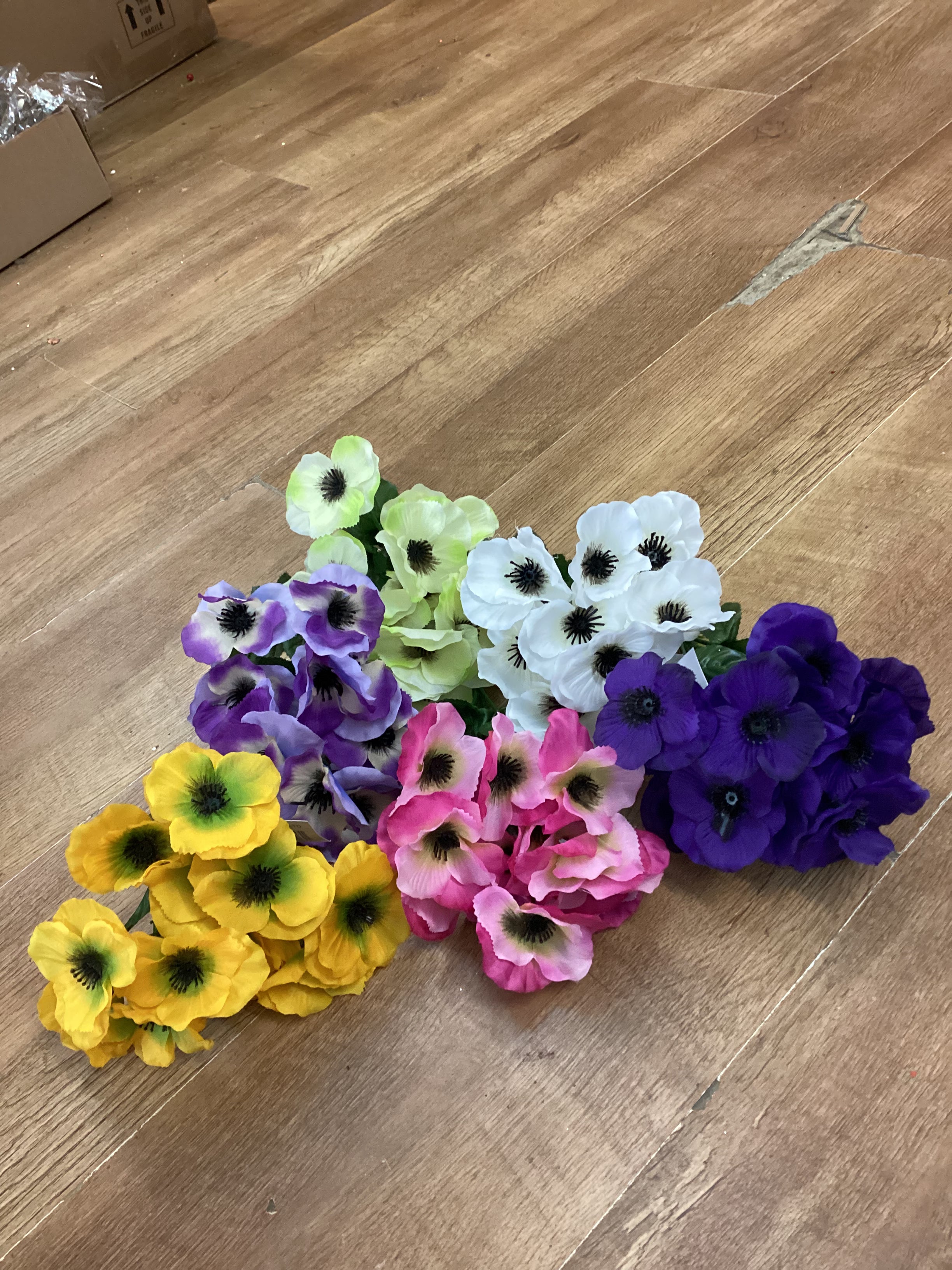 Pansy bush - 6 colours available