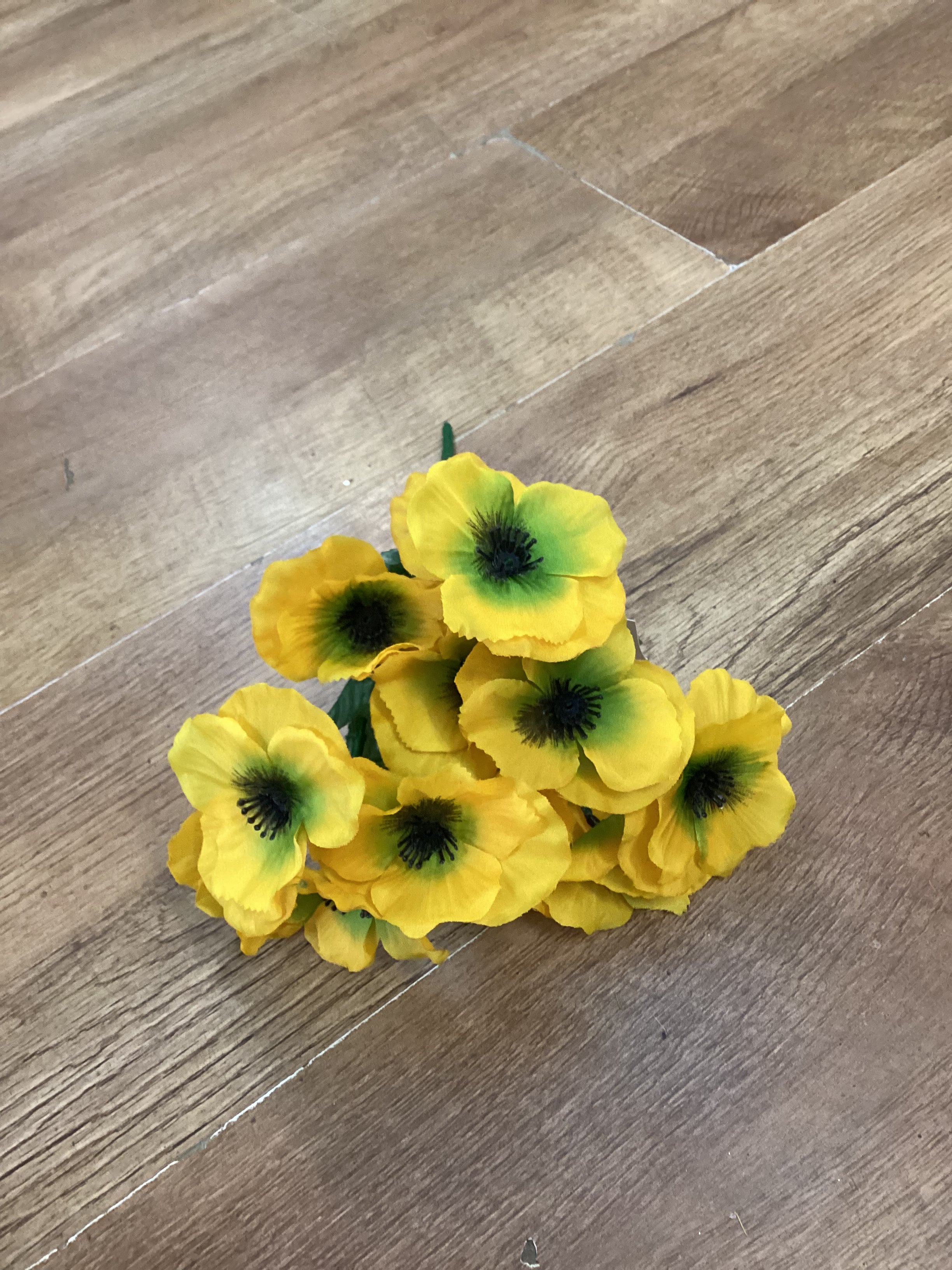 Pansy bush - 6 colours available