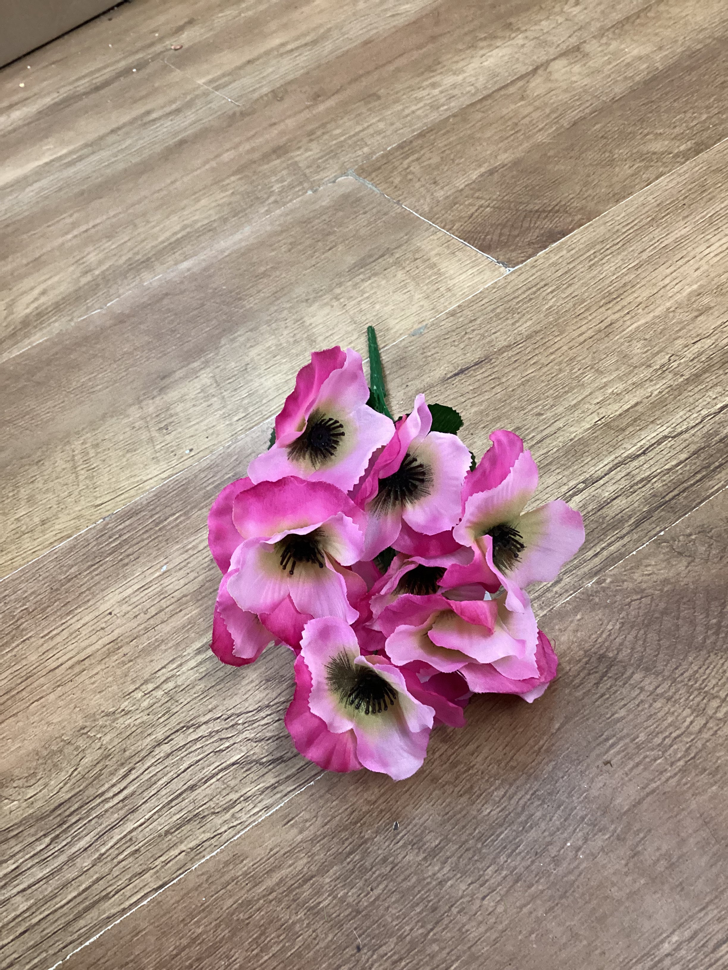 Pansy bush - 6 colours available