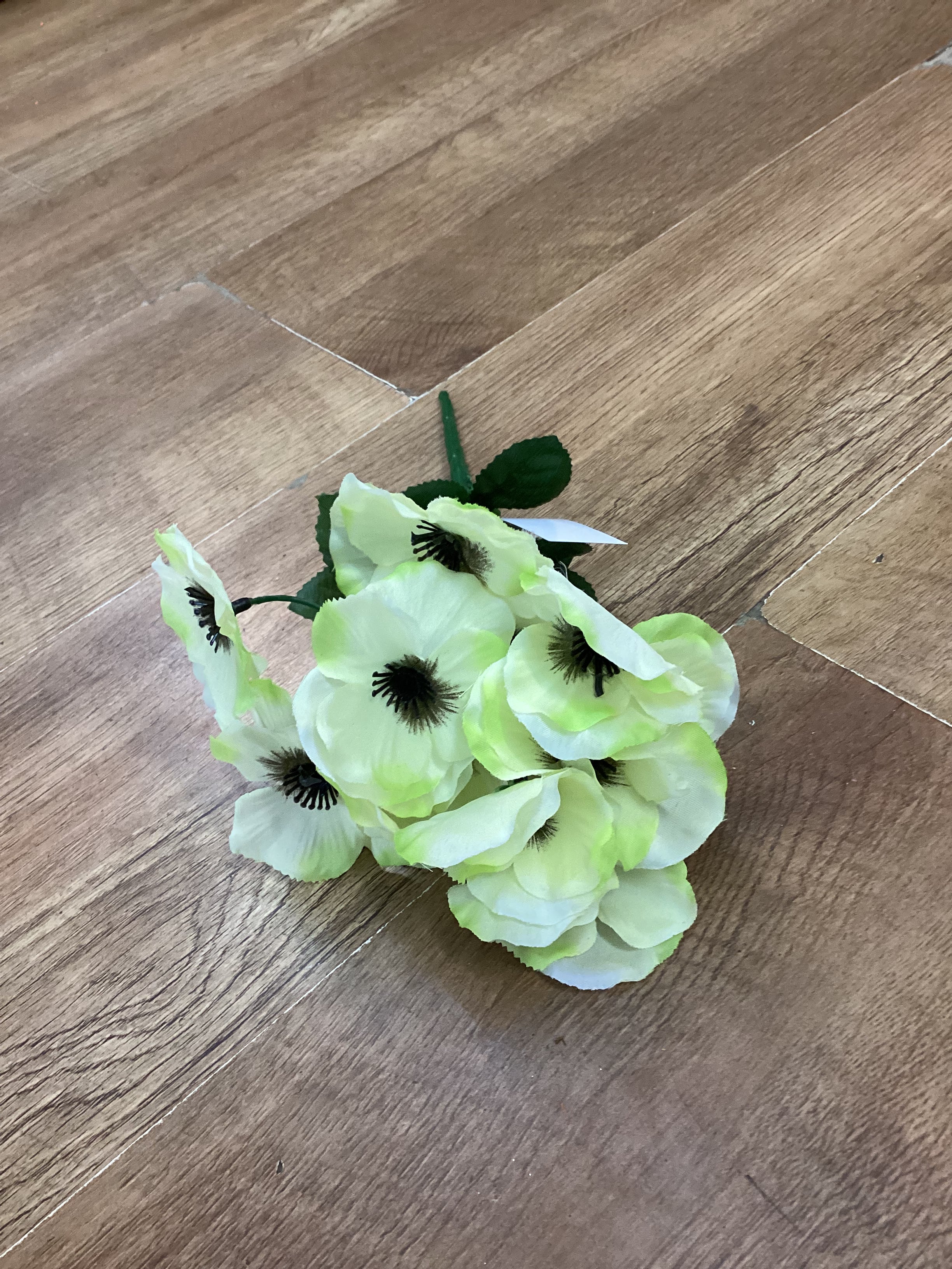 Pansy bush - 6 colours available
