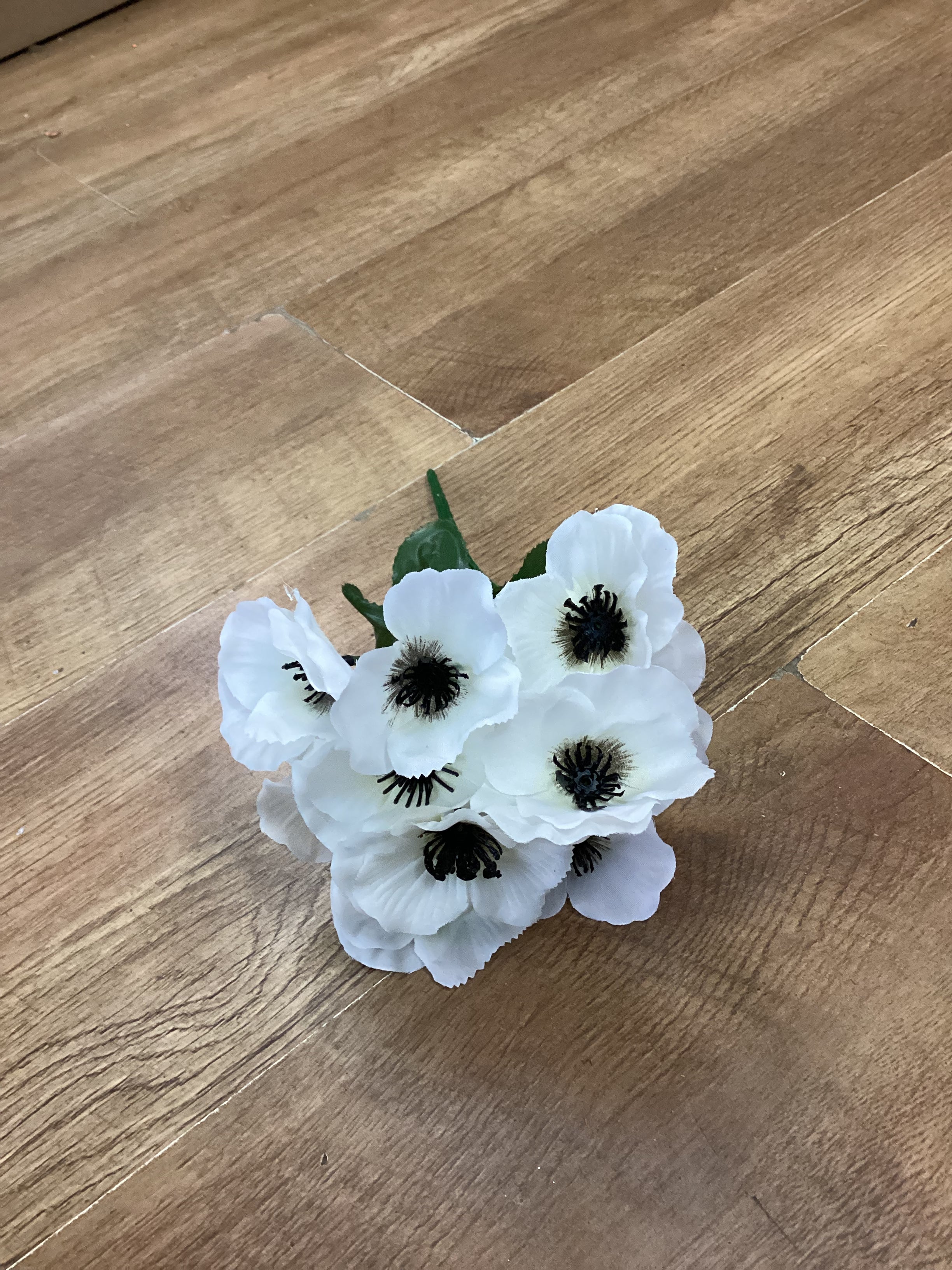 Pansy bush - 6 colours available