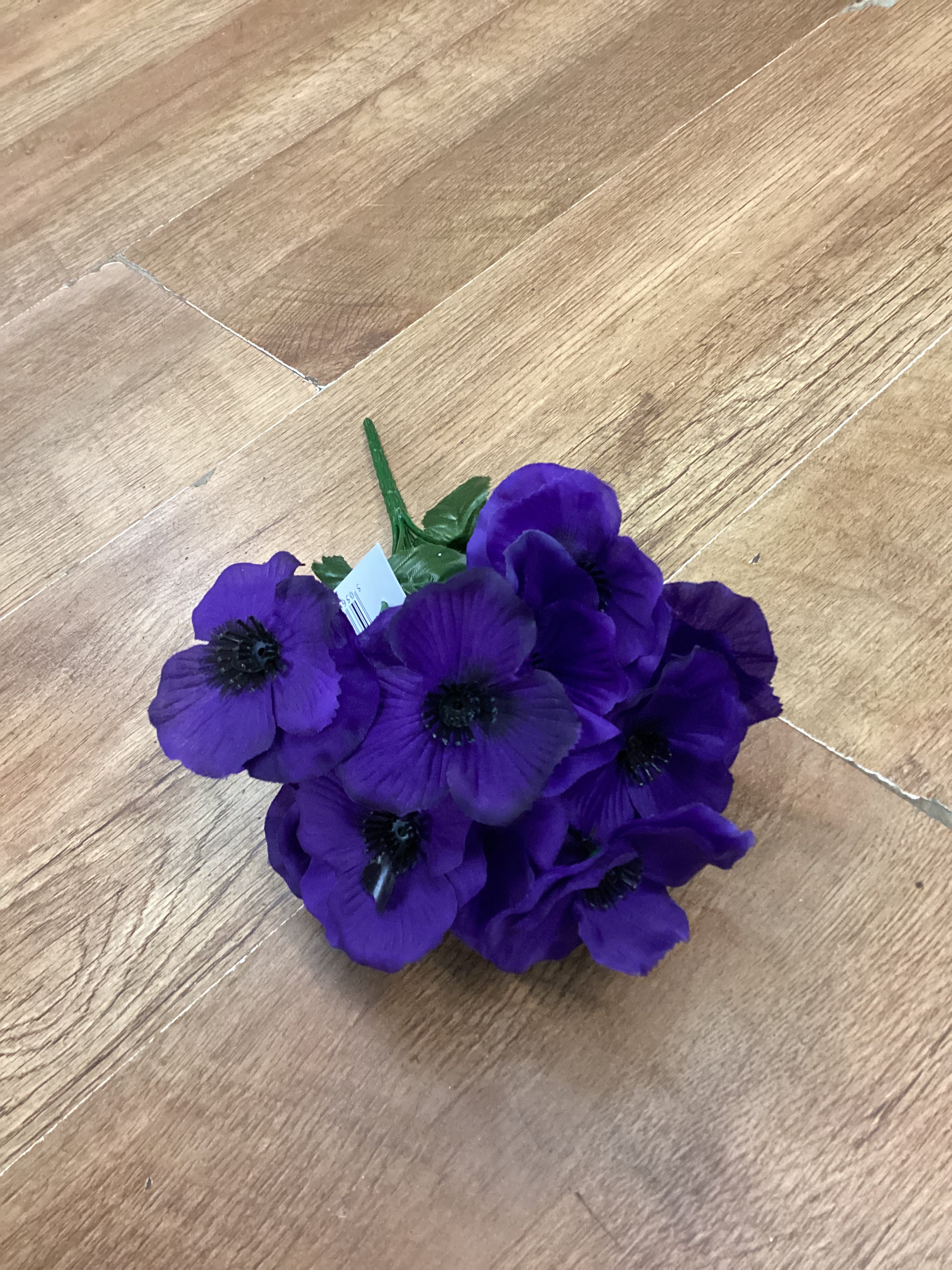 Pansy bush - 6 colours available