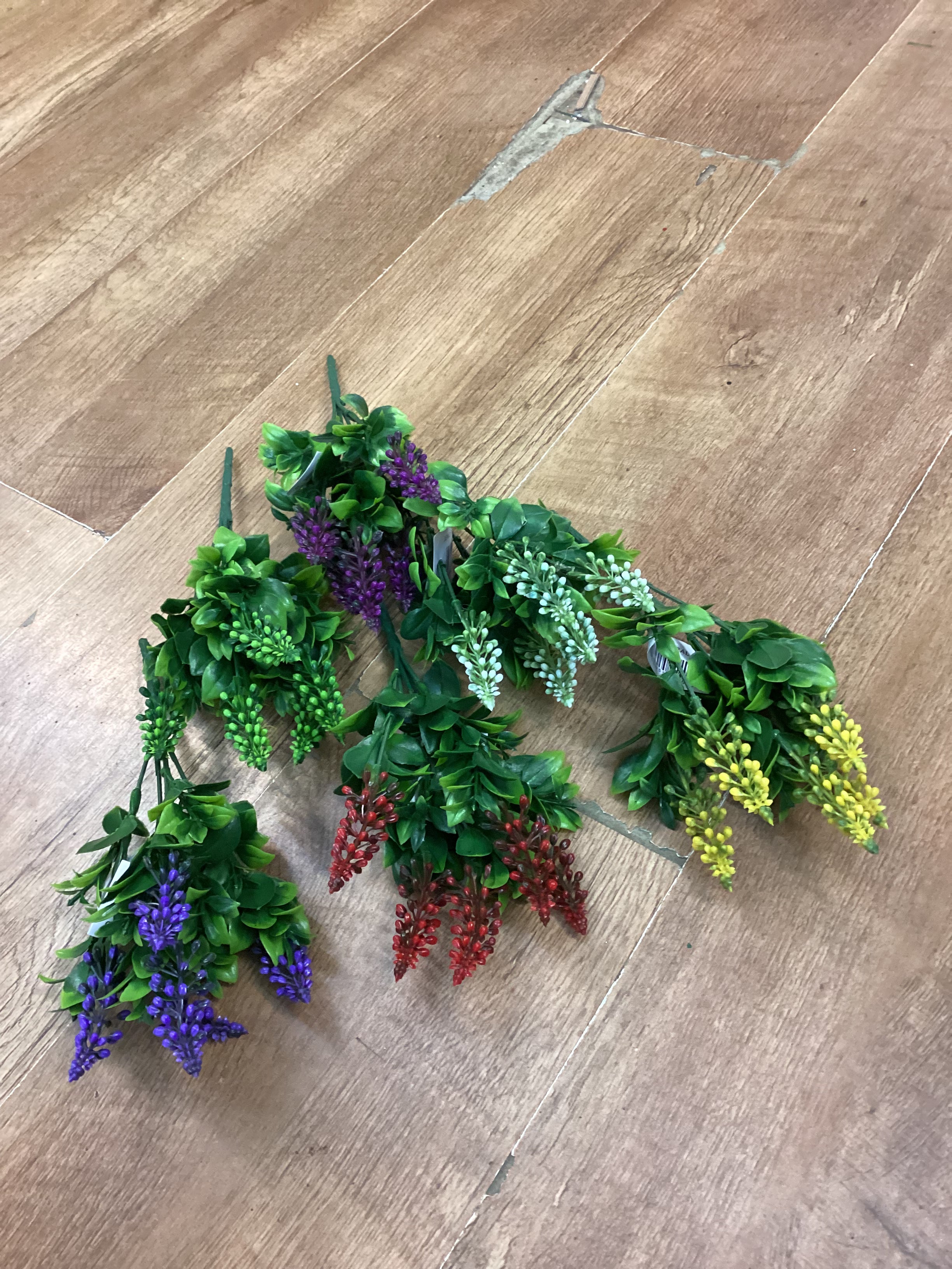 Grape hyacinth - 6 colours available