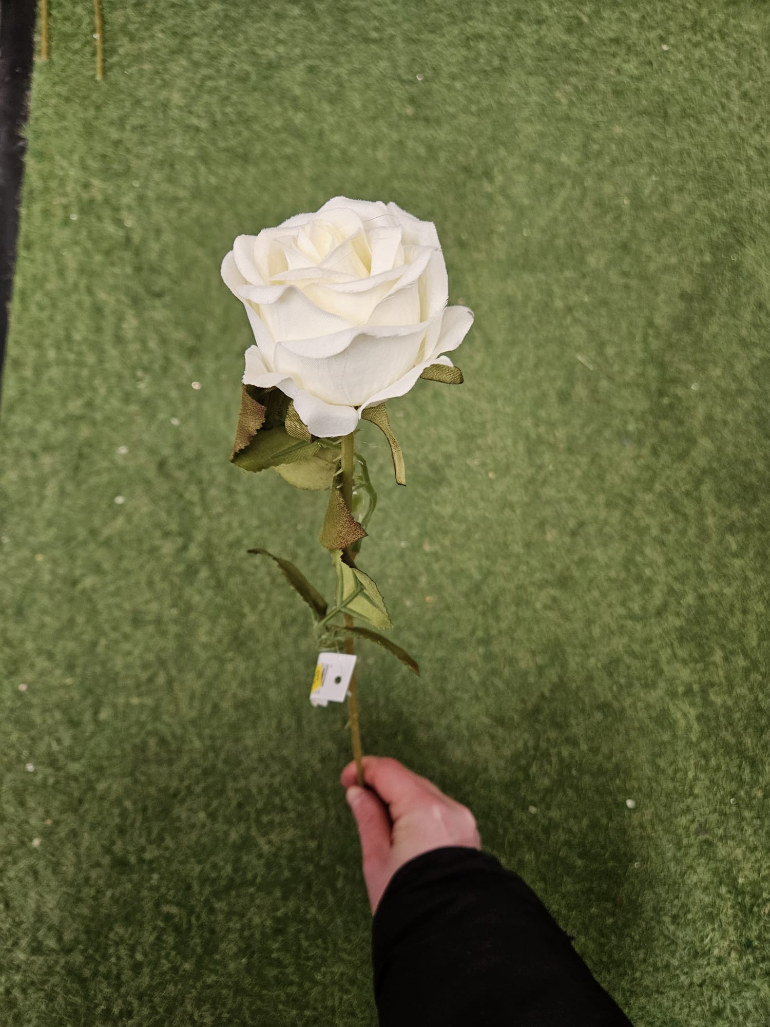 Box of 48 Amira roses - 3 colours available (head approx 8cm)