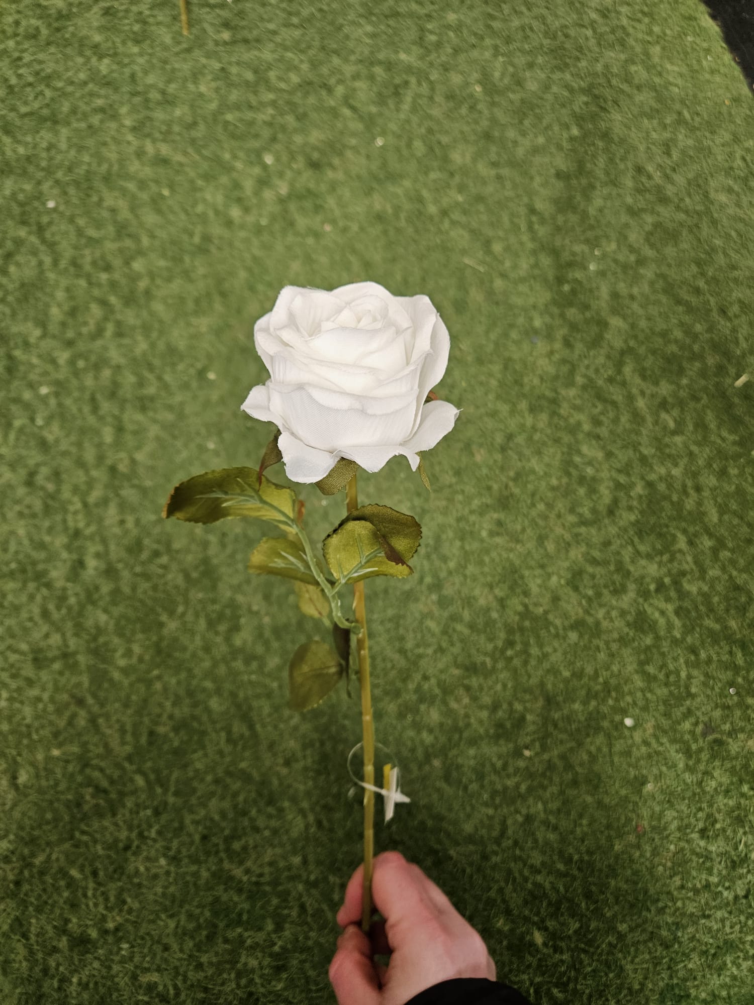 Box of 48 Amira roses - 3 colours available (head approx 8cm)